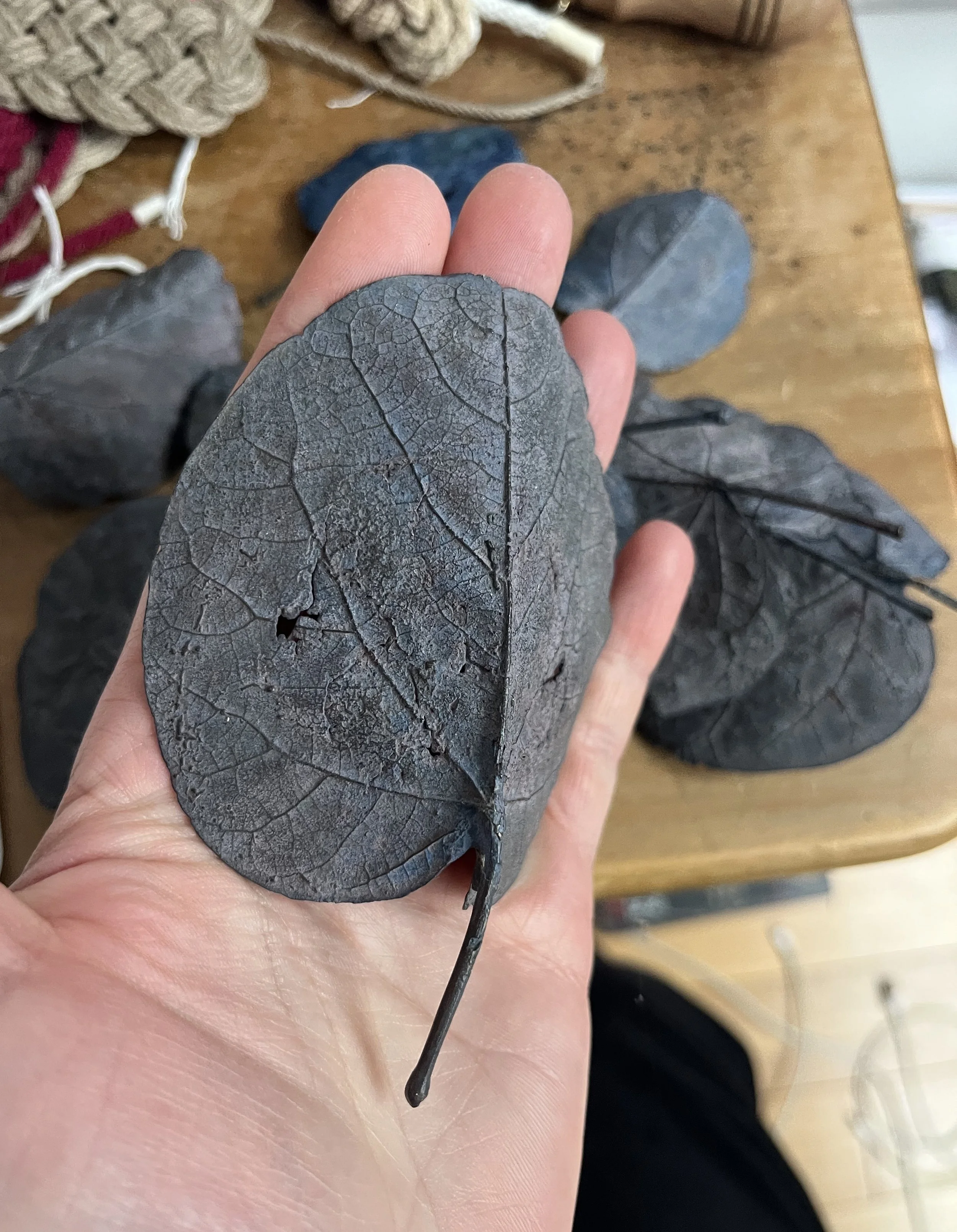 11_blue-leaf_judas_01.jpg
