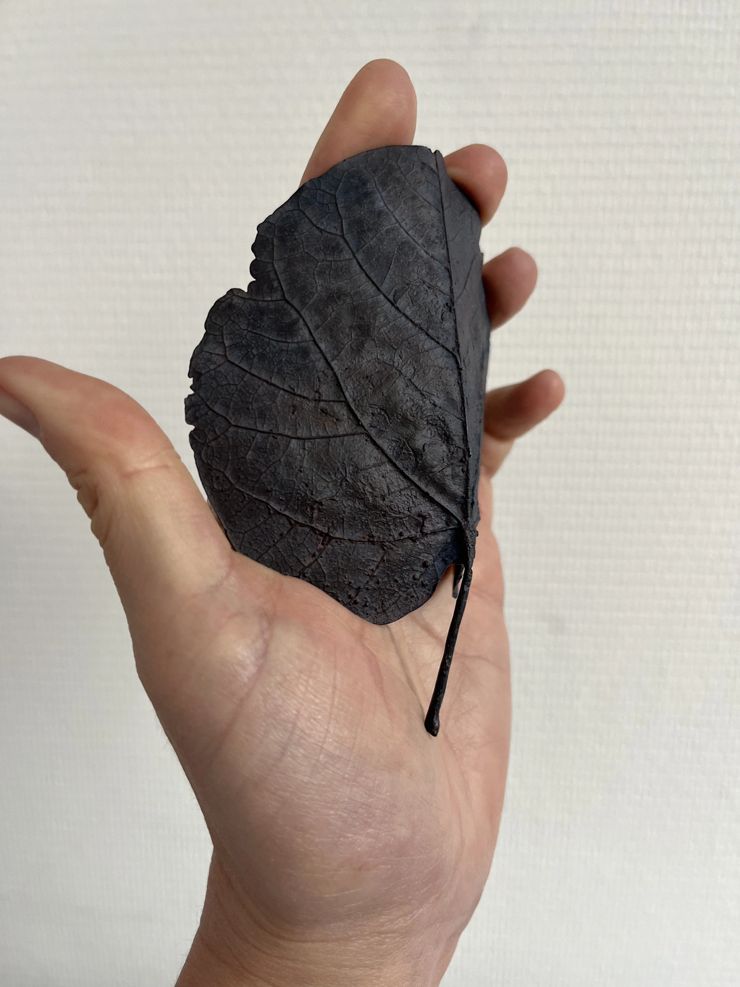 10_blue-leaf_judas_03.jpg
