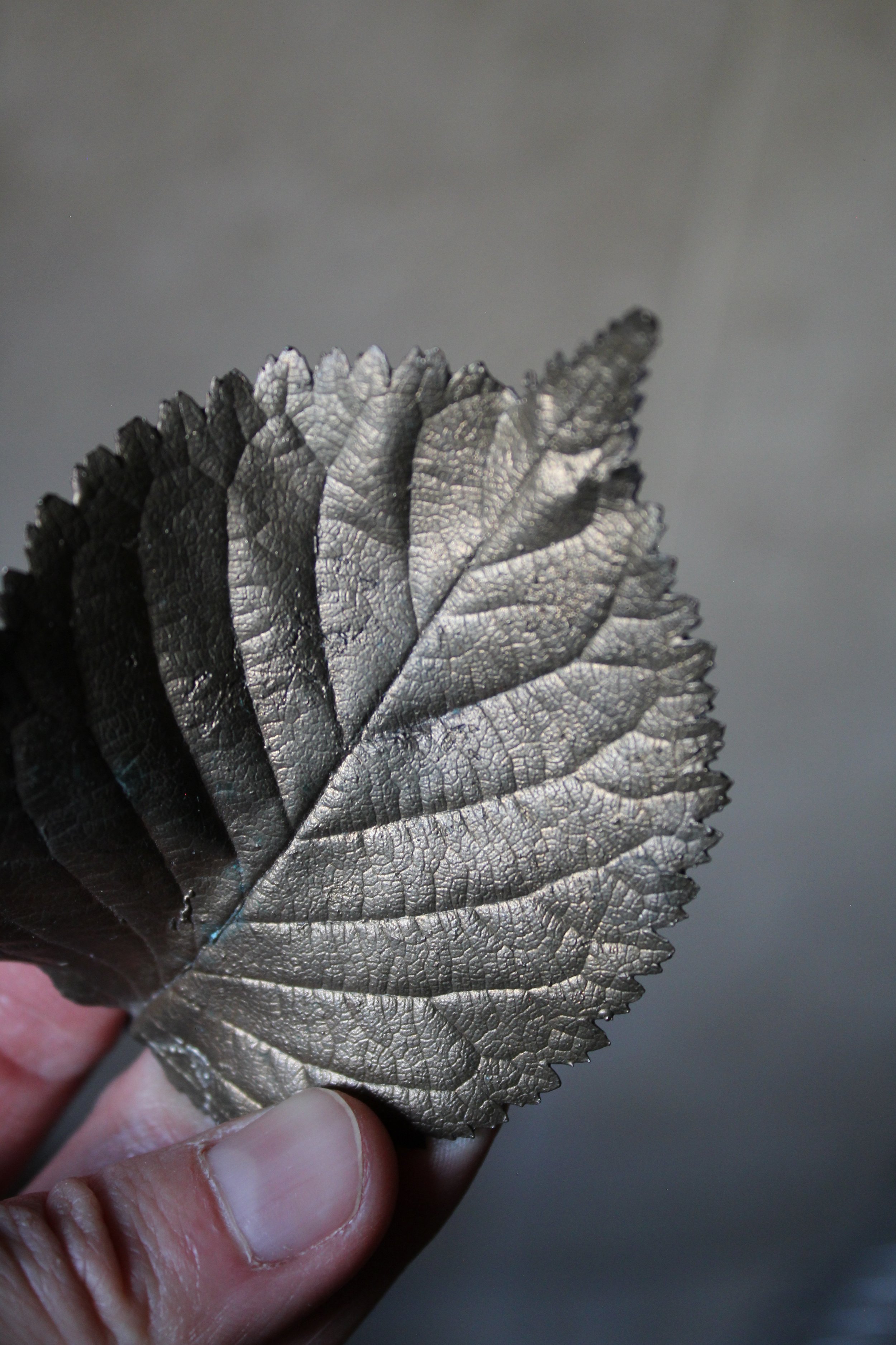 Cherry Variations   -   Leaf IX