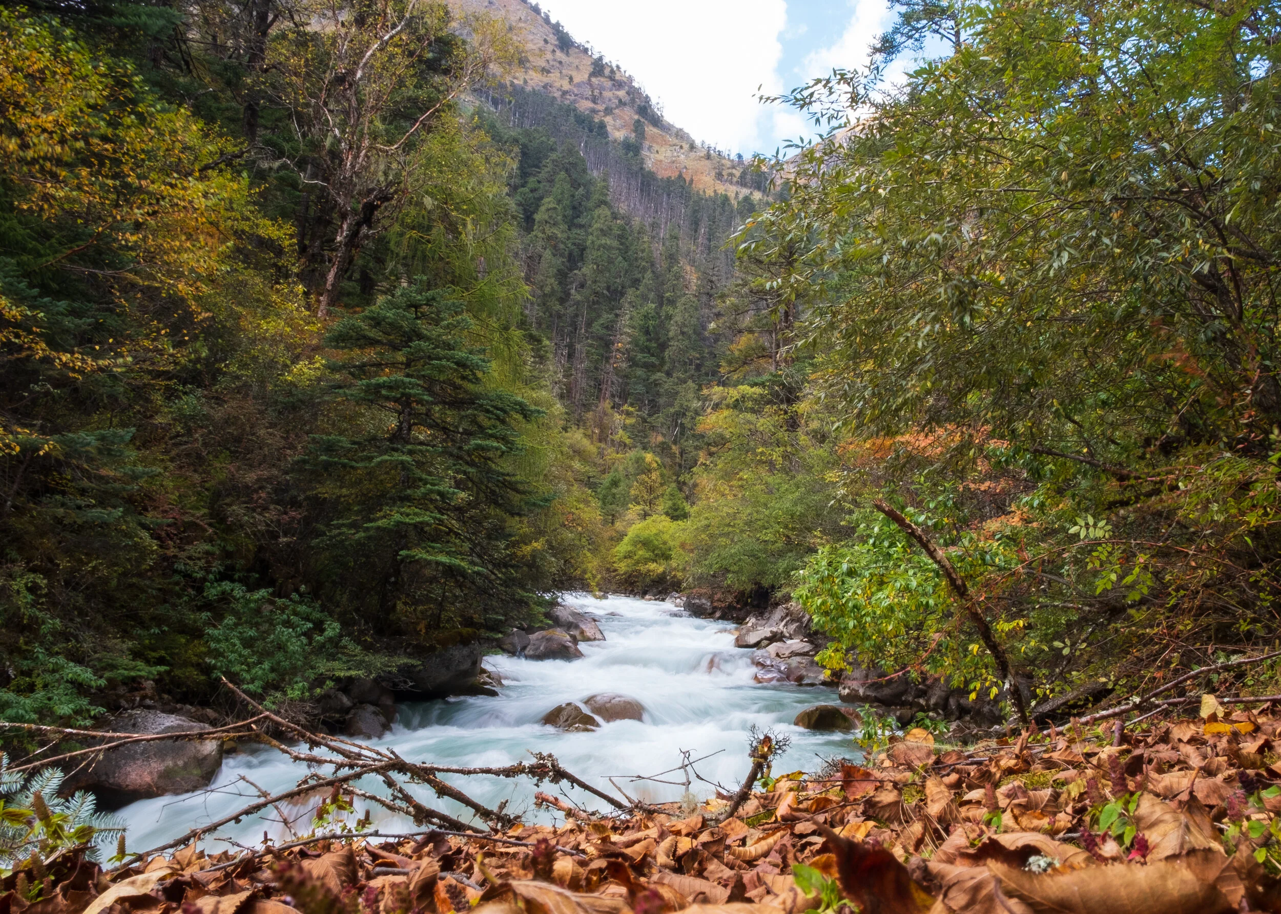 Bhutan2019-60.jpg
