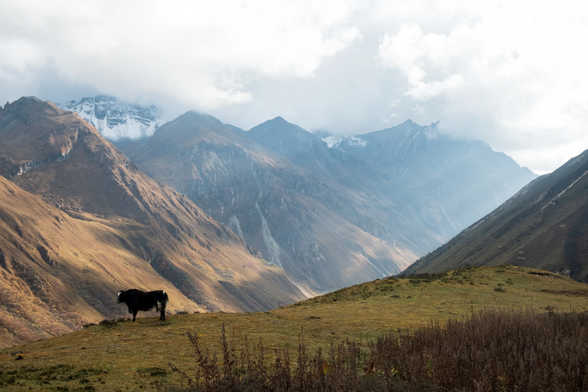 Bhutan2019-89.jpg