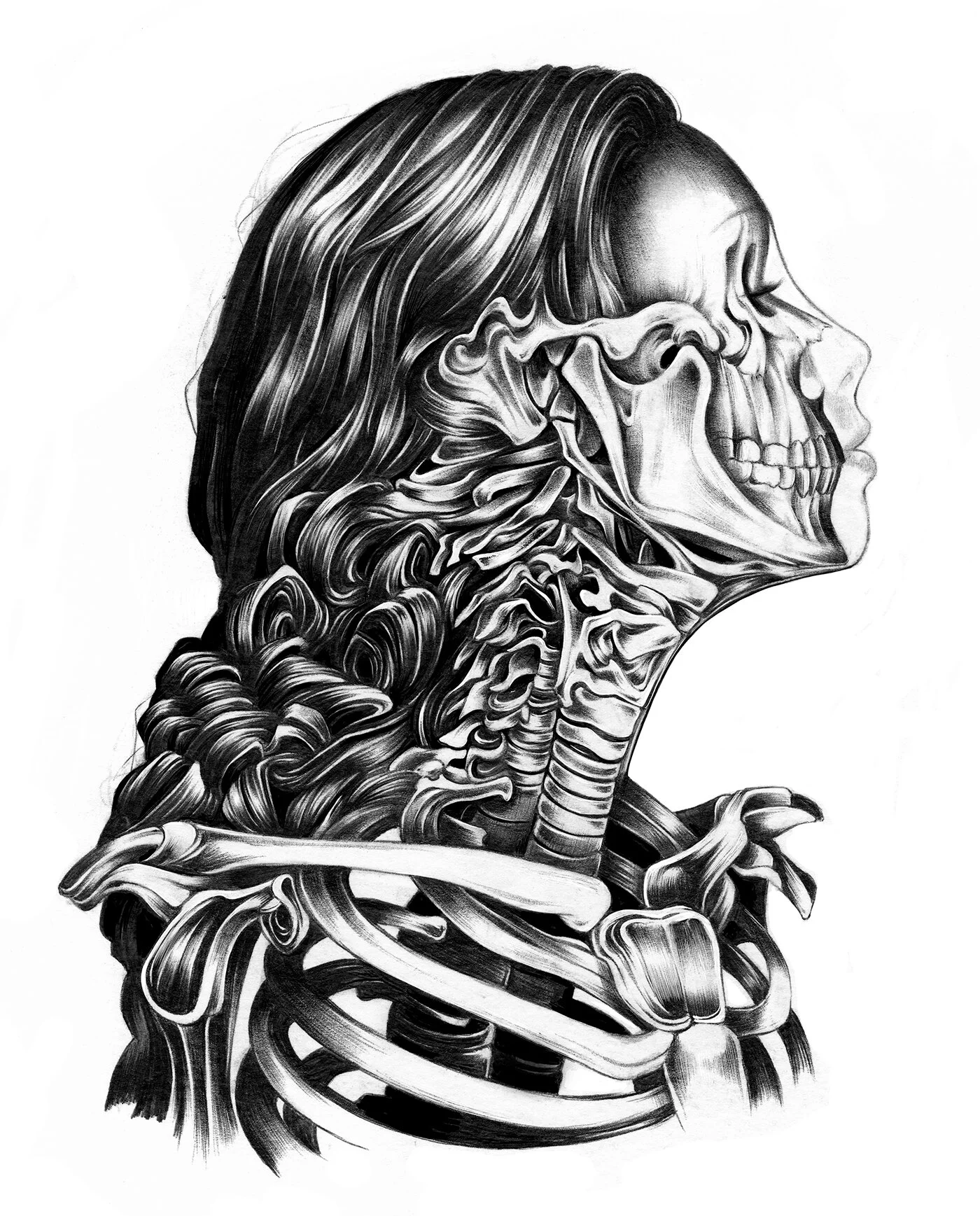 Anatomical Sketch