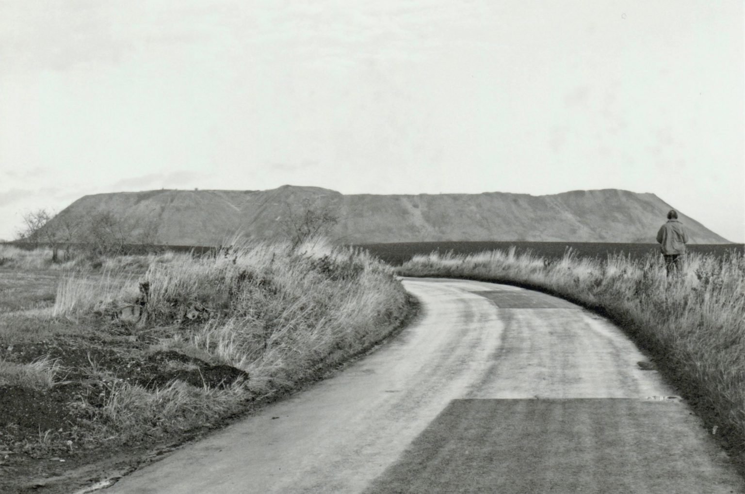 Niddire Woman, John Latham/APG/Scottish Land Office