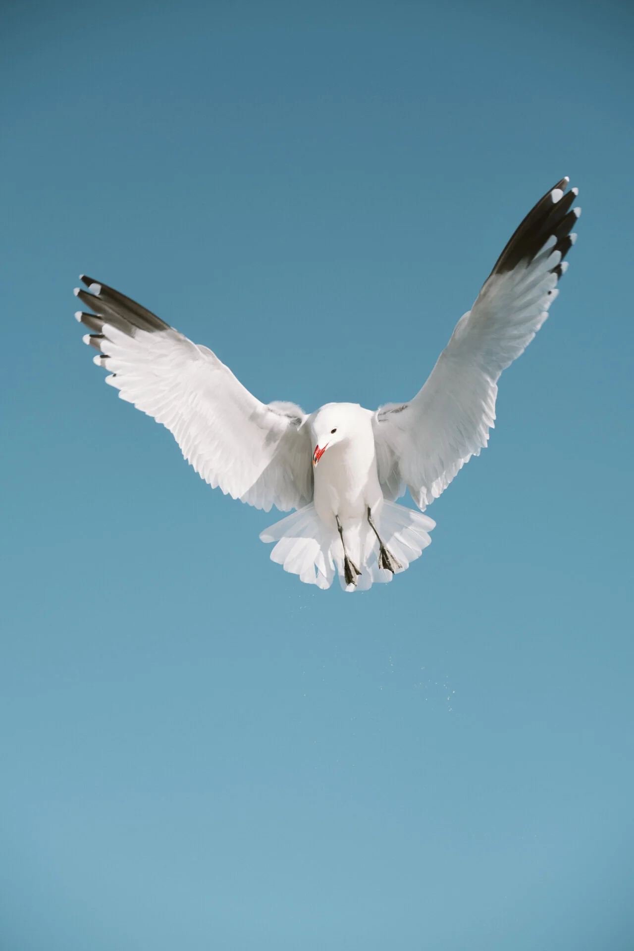 DSCF6630.jpg