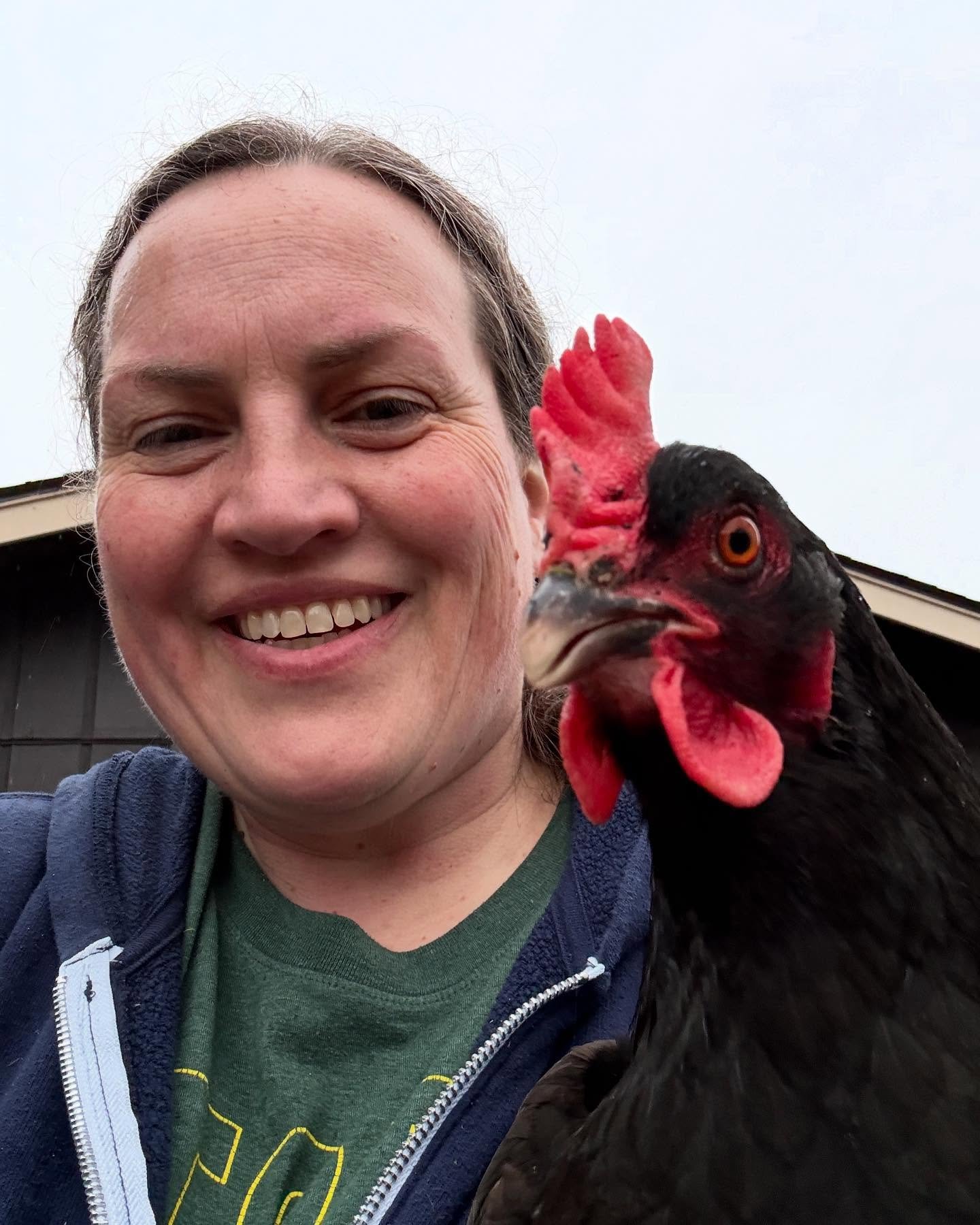 Automatic shutters are hooked up, inside is cleared out, and the chickens are in to churn it up for a few days. Cocoa (the chicken) and I worked hard today! 😜🐓
