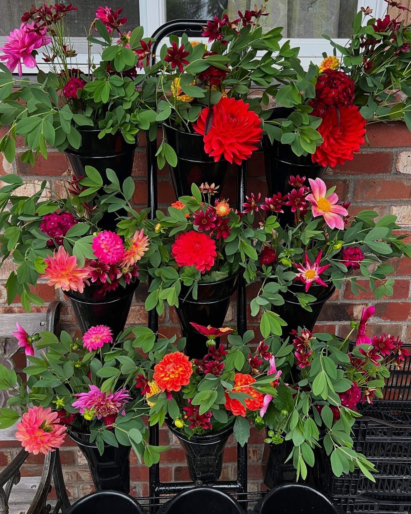 2025 Flower CSA subscriptions are live on the website! Sign up to get 8 weeks of bouquets this summer. Pick up nights are either Tuesdays or Fridays from 4-7pm at the farm in the valley. See the details at the link in the profile which takes you to w