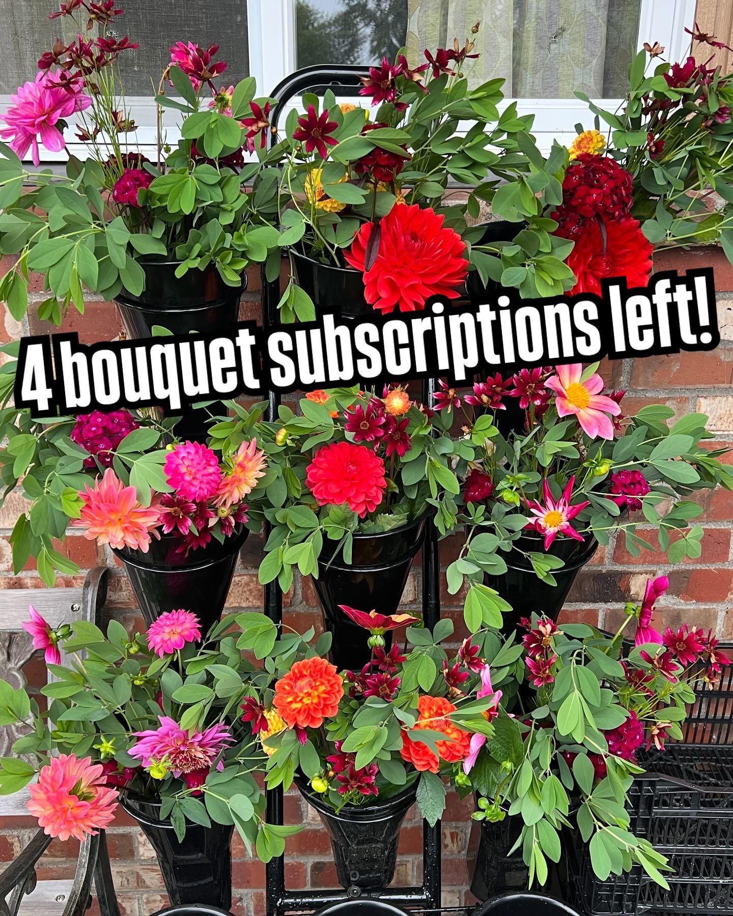 I only have 4 bouquet CSA subscriptions left. 2 on each pickup night. Sign up soon if you&rsquo;re interested!