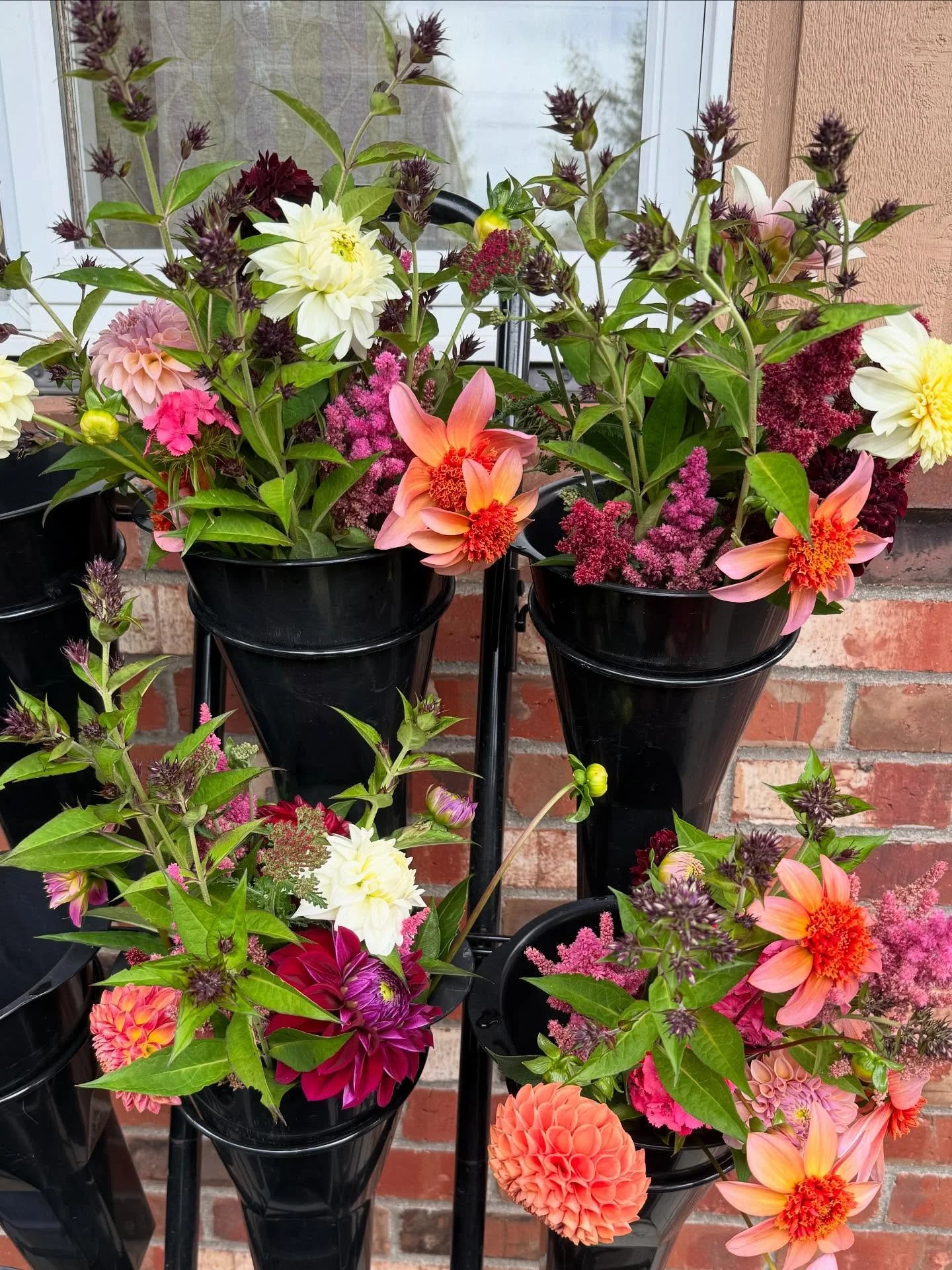 Flowers are looking GOOD!!!!! 🥰
