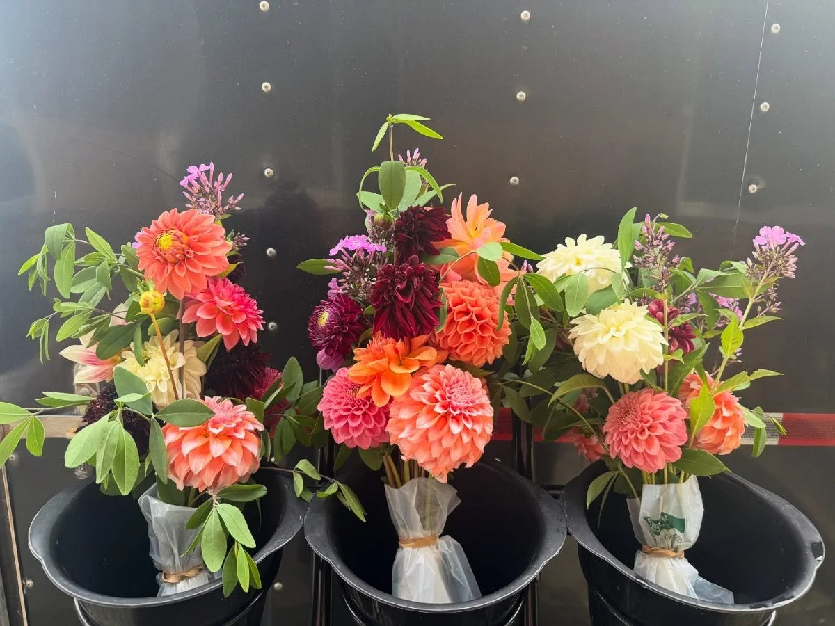 The flowers this week are 🔥
Also trying a compostable packaging material to send them home in. So far, I like it.