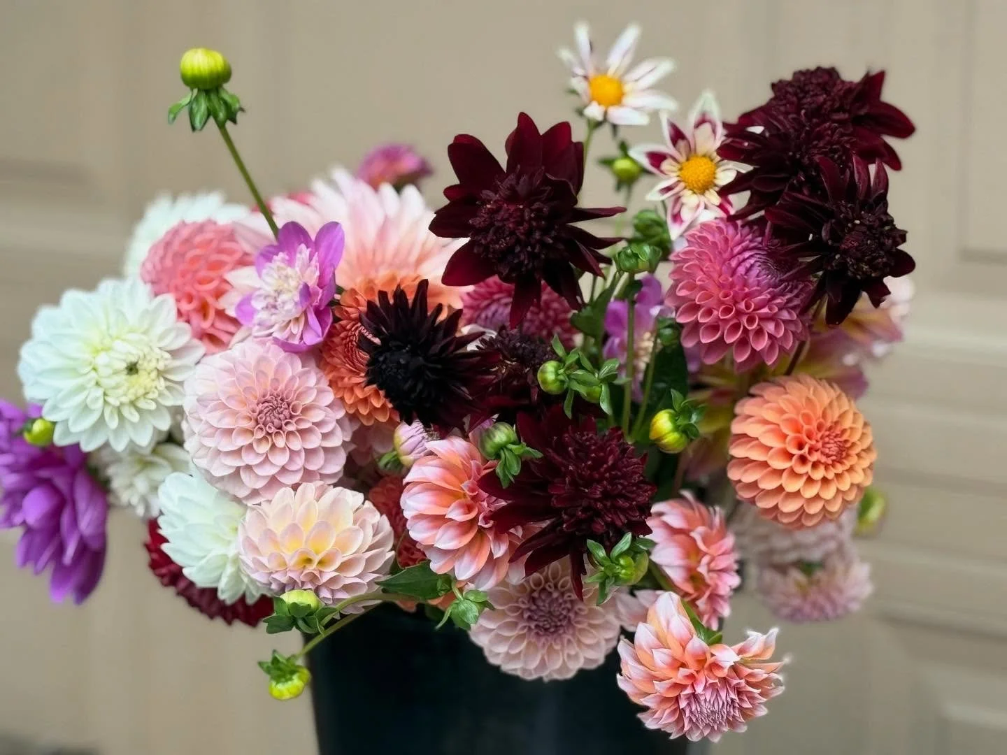 One bucket of dahlia blooms for today&rsquo;s bouquets. 🥰