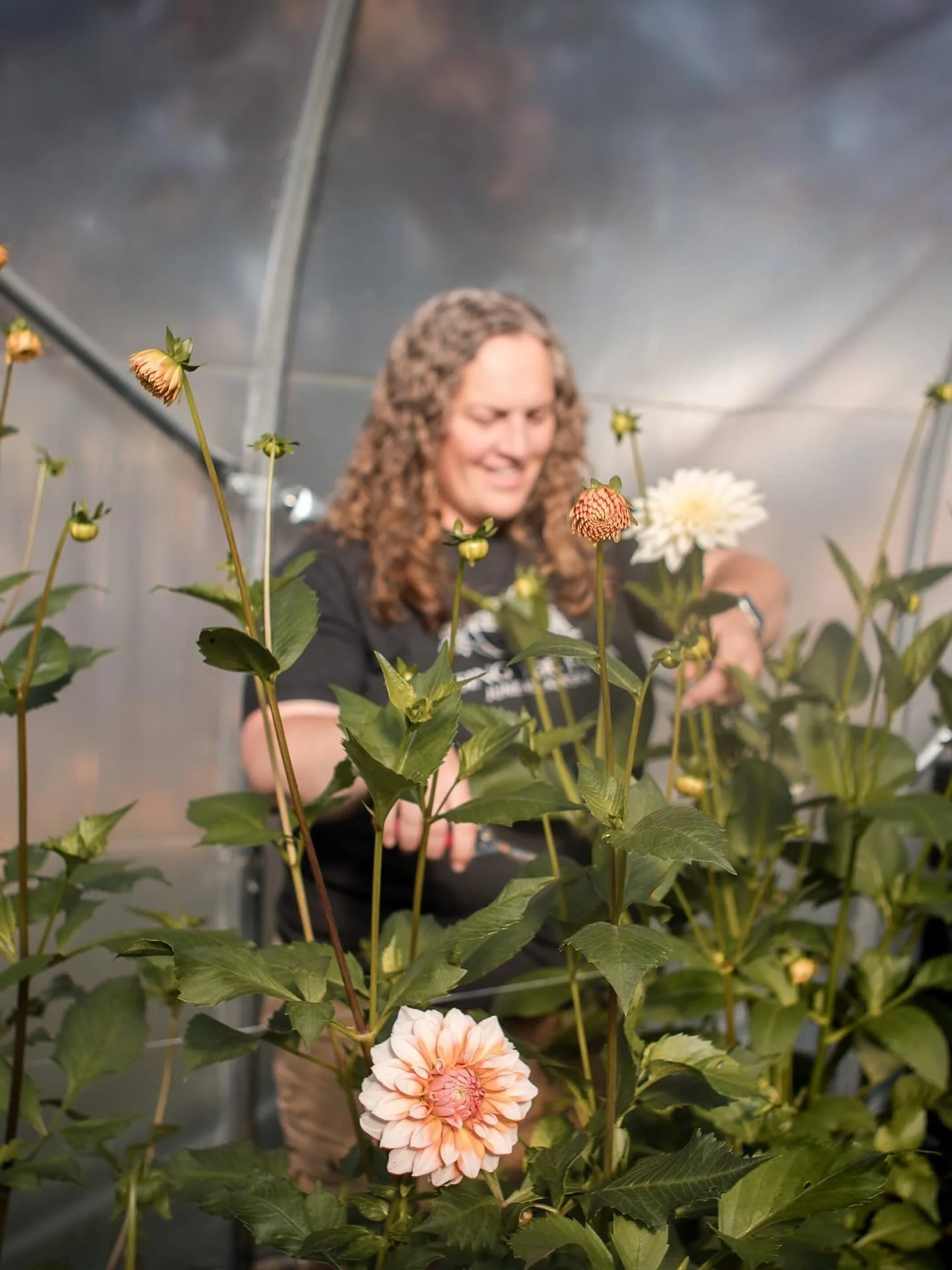 The amazing and talented @cjohnsonphotojuneau came to the farm yesterday and took these awesome photos. It was so laid back. We just talked about kids and life while I harvested flowers and she snapped some pictures. I thought it was going to be awkw