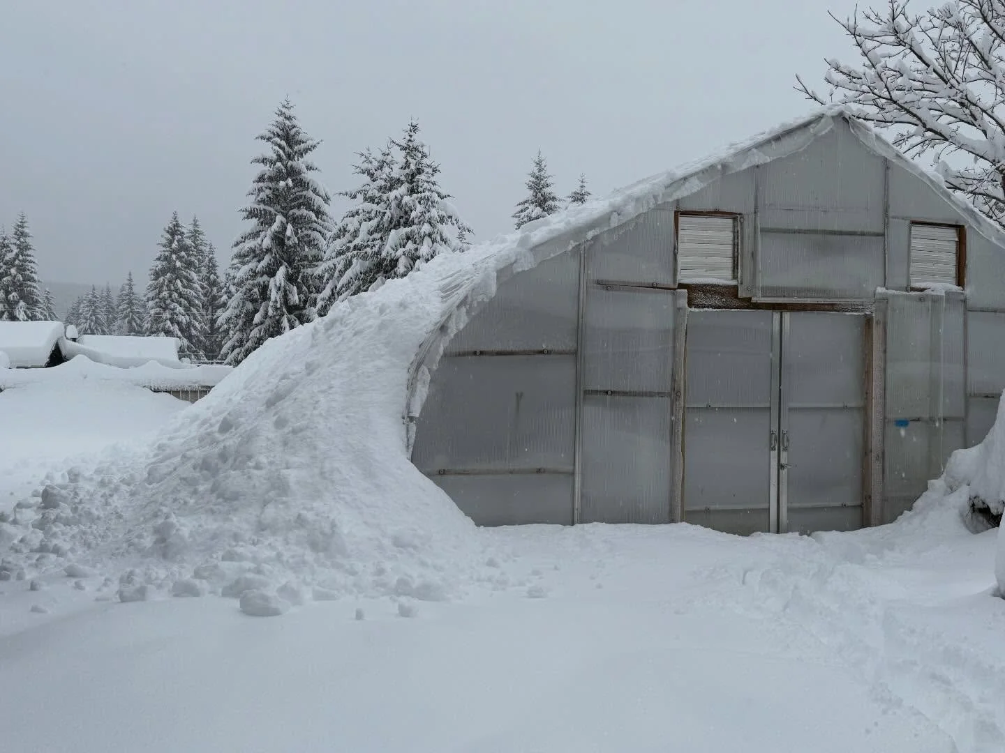 Okay, it can stop snowing now.