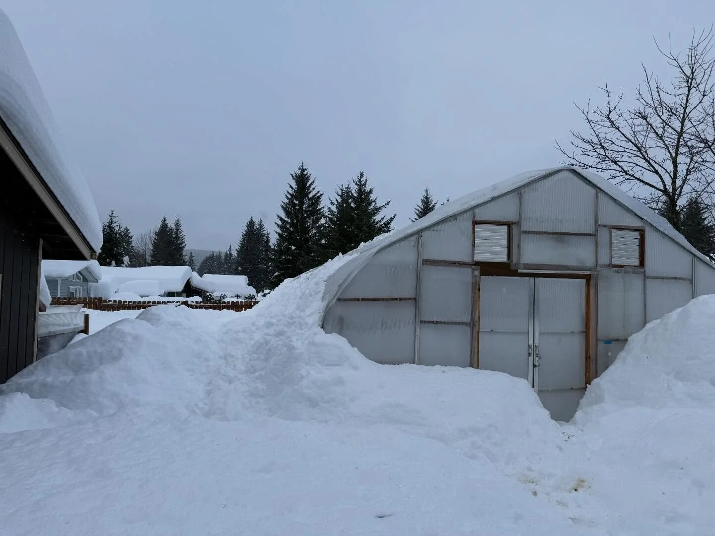 I&rsquo;m looking forward to trading snow and rain for sunshine when I head to Albuquerque tomorrow for a flower farming conference with @ascfginc 
I wonder if anyone else will be in shorts? 🤣