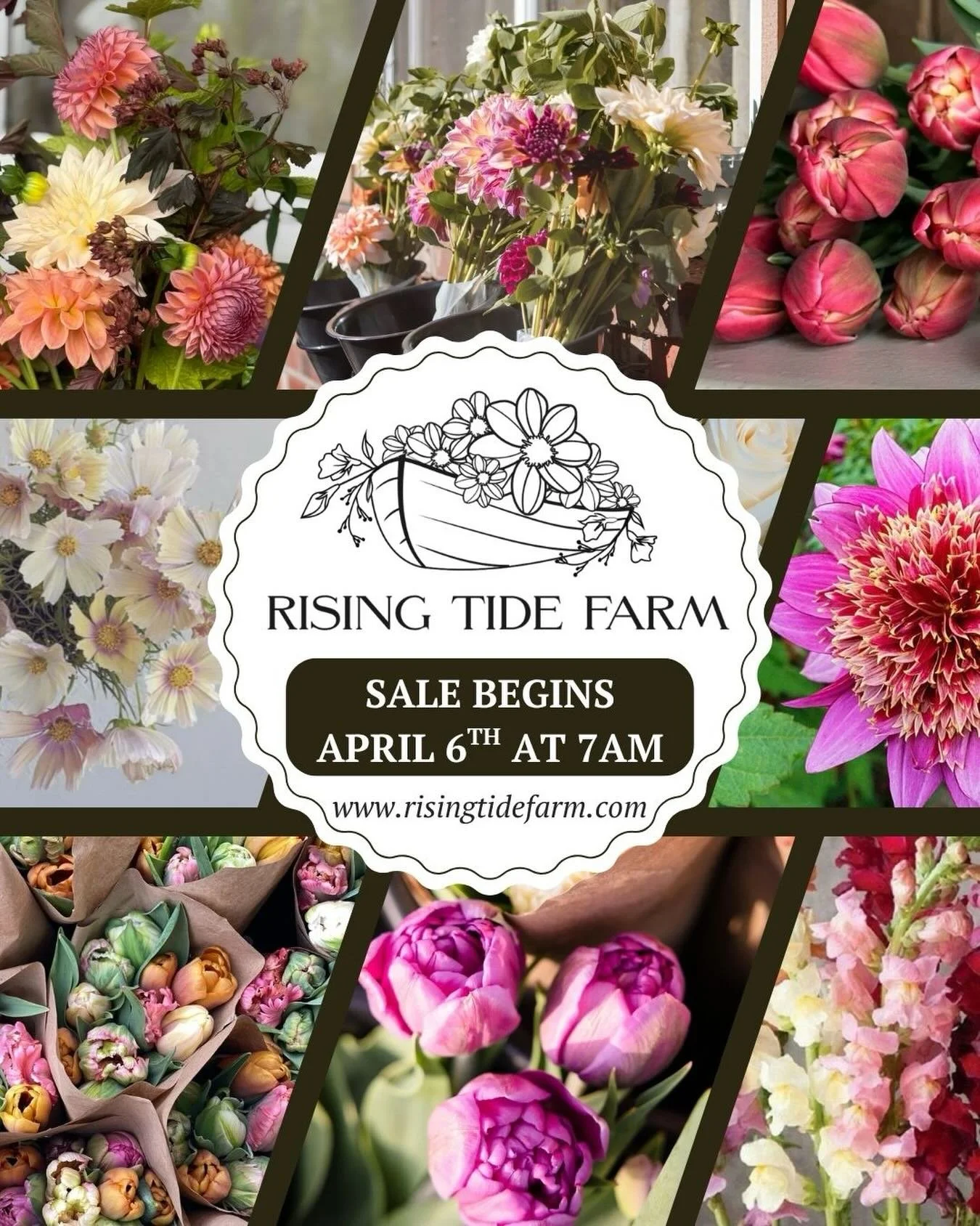 Friendly reminder that bouquet subscriptions open tomorrow (April 6th) at 7am on the website.