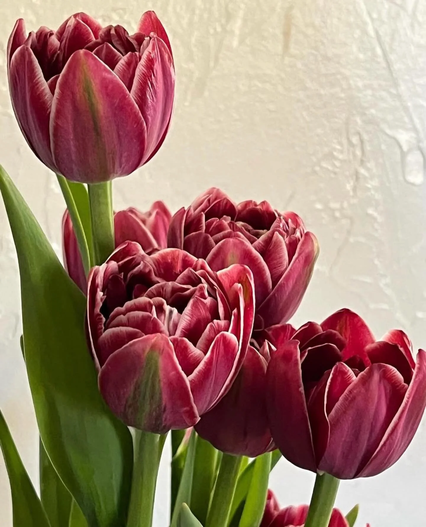 Farming failure! A few years back I started growing tulips in crates so they wouldn&rsquo;t be taking up space in the high tunnel. This has worked beautifully until now. The winter we had this year was not to be trifled with. Lesson learned. I will p