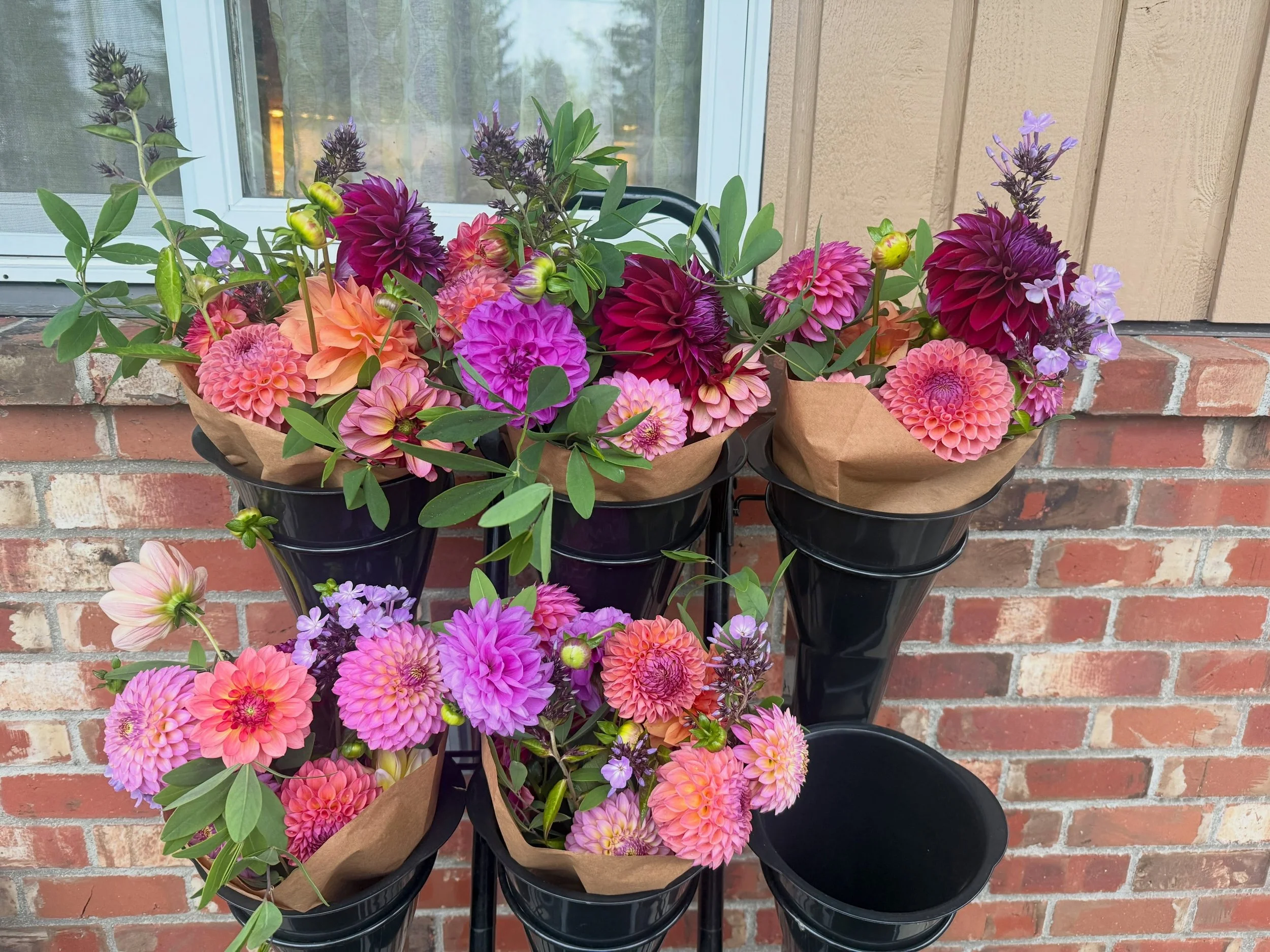 Today&rsquo;s blooms were incredible!