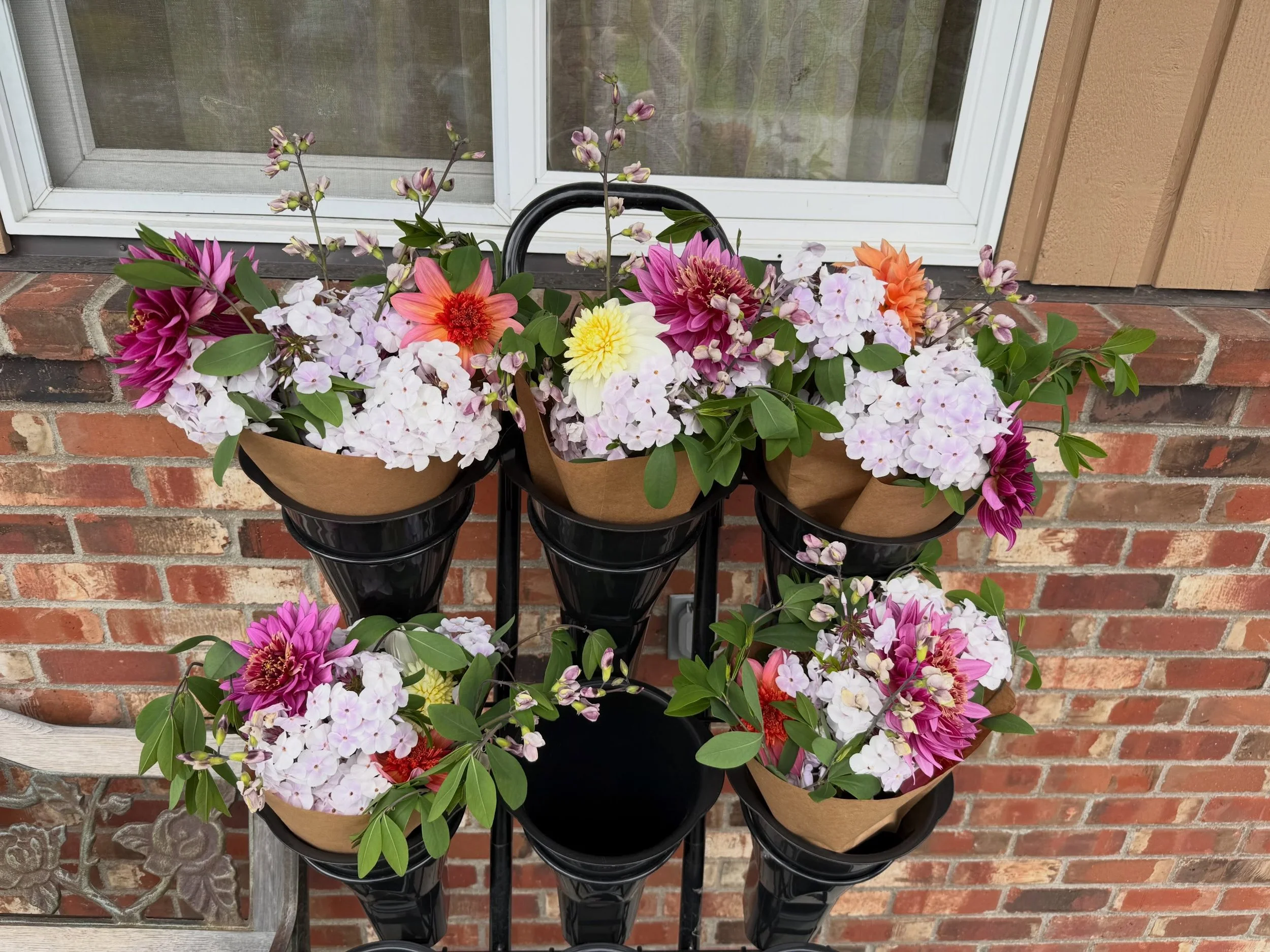 Friday bouquet subscription pickup smells heavenly with all this phlox.