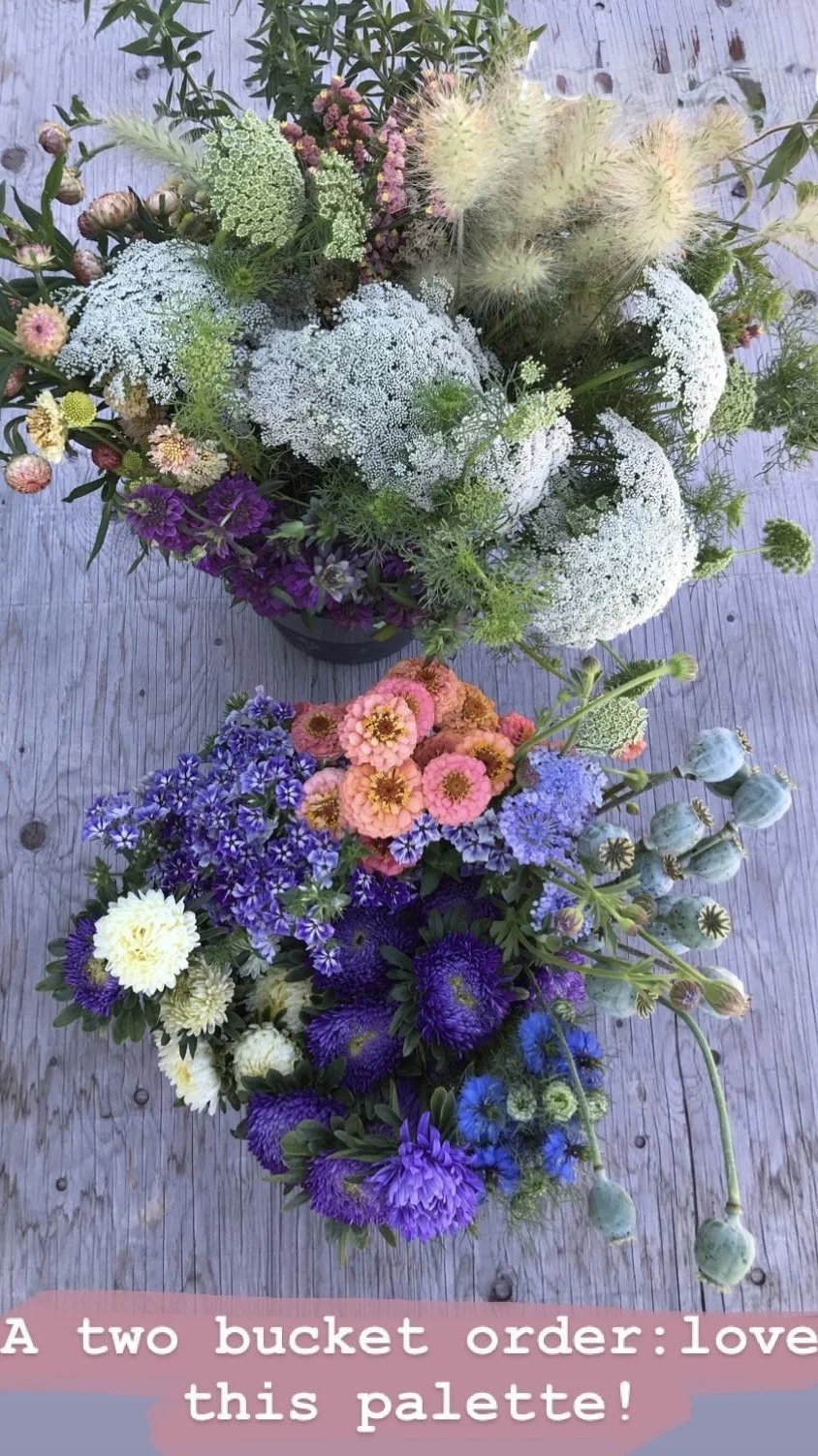 Image 4.jpeg (Copy) (Copy) (Copy)