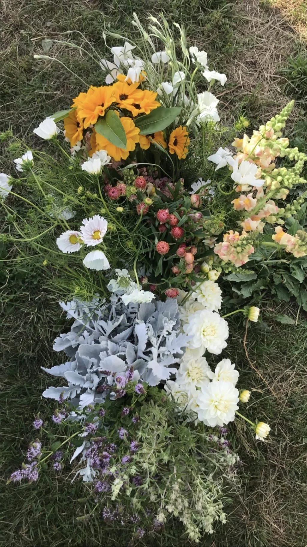 Image 5.jpeg (Copy) (Copy)