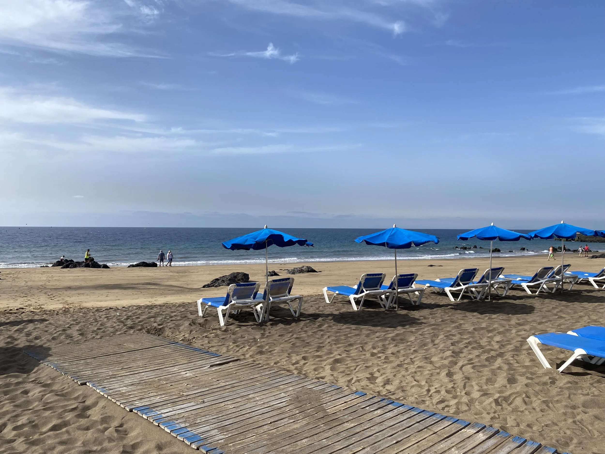 Why Canary Islands Holiday Rental Owners Should Have Their Own Website