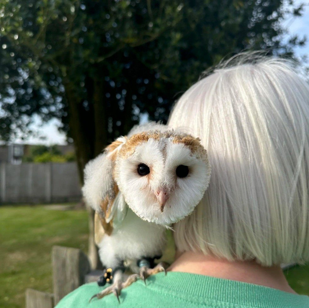 We&rsquo;ve spotted a few new faces around here recently, so we thought it was the perfect time to re-introduce ourselves 💛

We&rsquo;re SocialMyna &mdash; a friendly, down-to-earth social media and content team who love helping businesses find the 