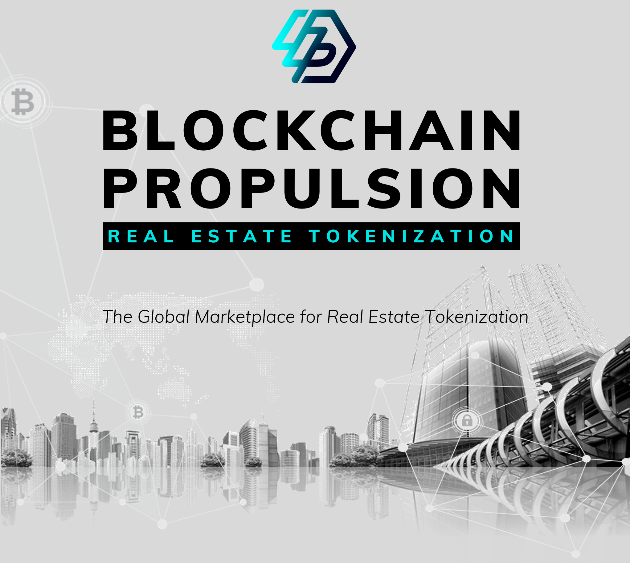 Strategic Partnerships and Investments — Blue Line Real Estate Ventures