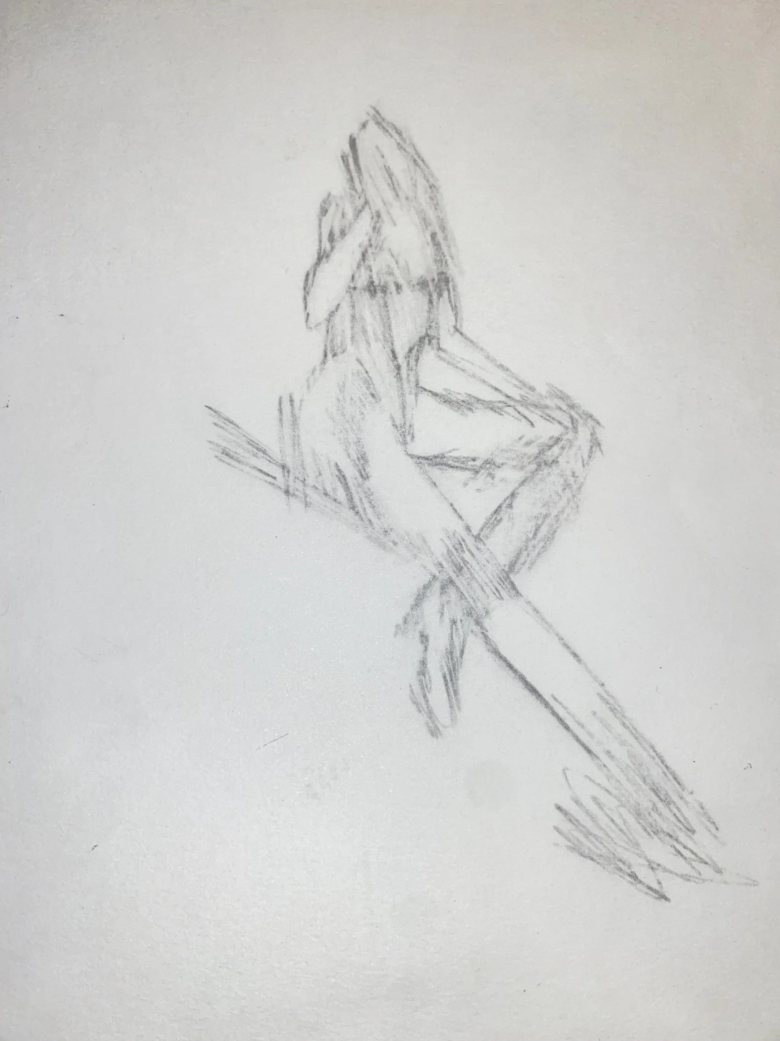 2024-07-16 22-49-12.jpeg