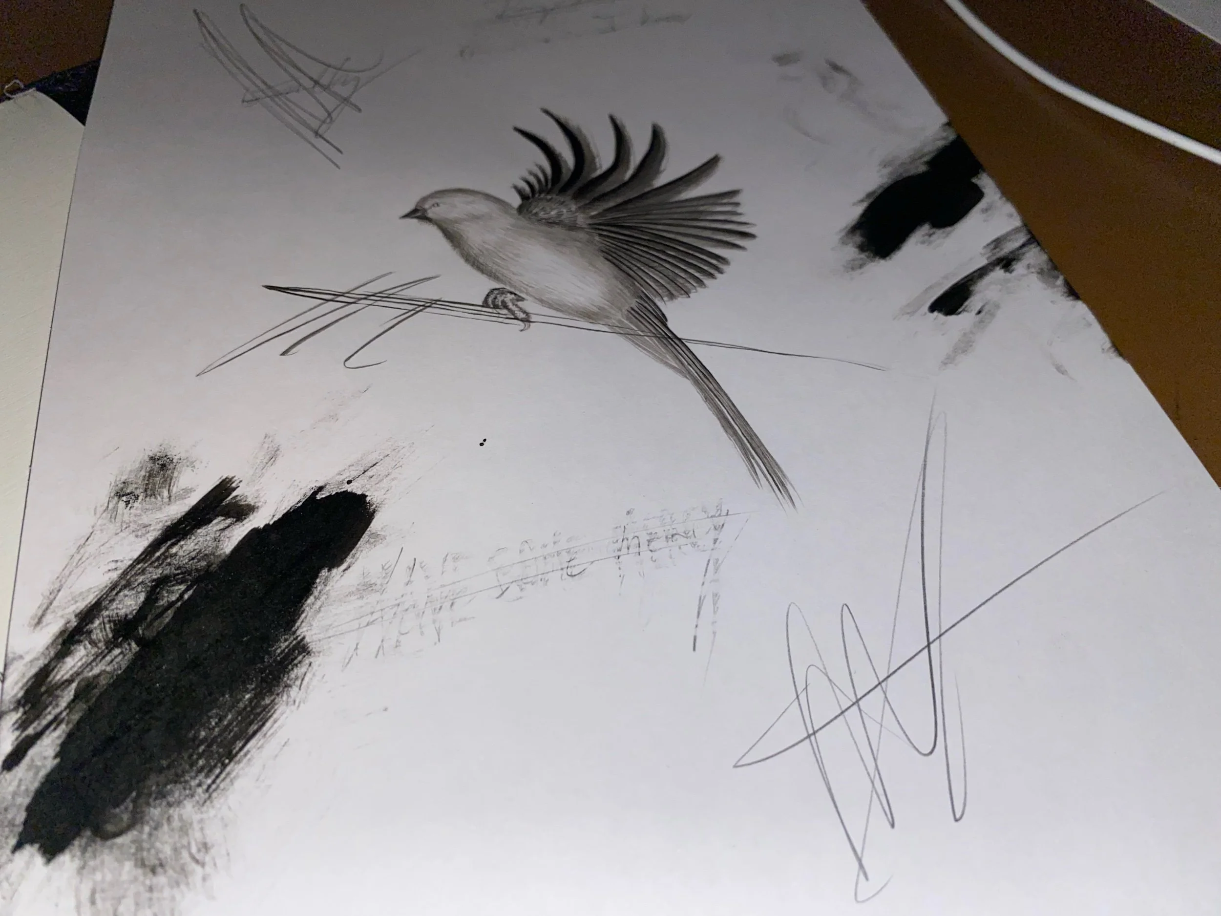 2023-02-16 02-49-18.jpeg