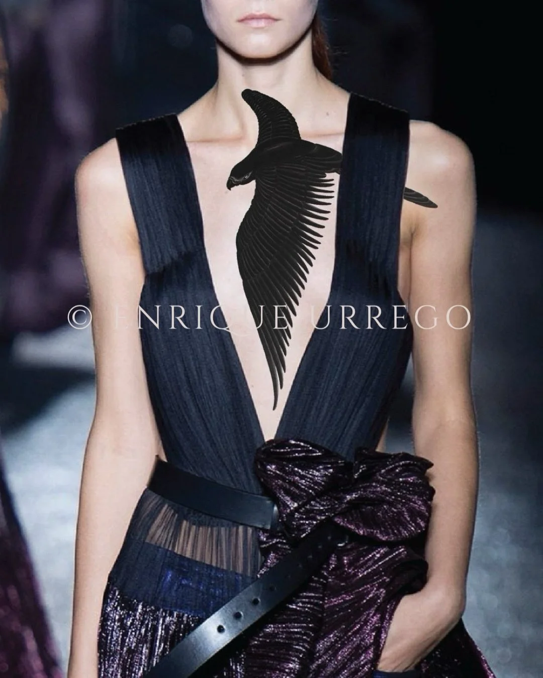 «The big black bird »