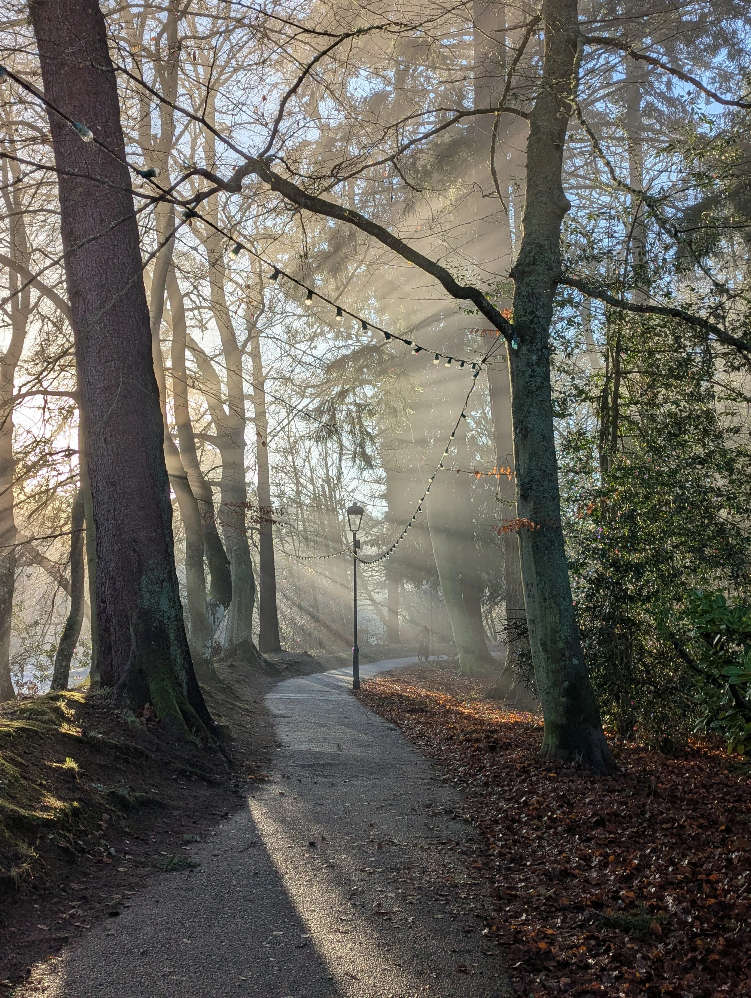 Bonus content! Bare Minimum Artist's Way