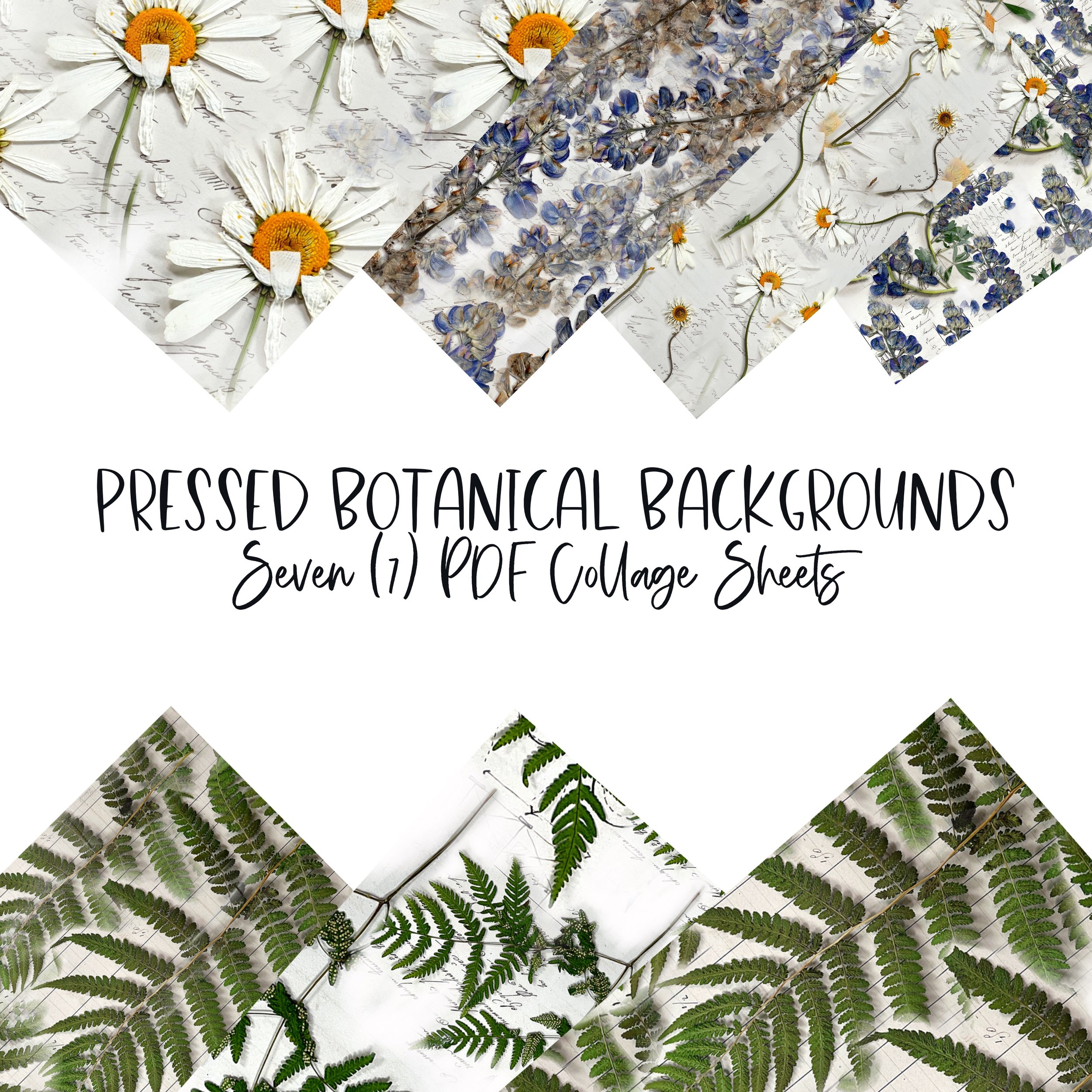 pressed botanicals backgrounds.jpg