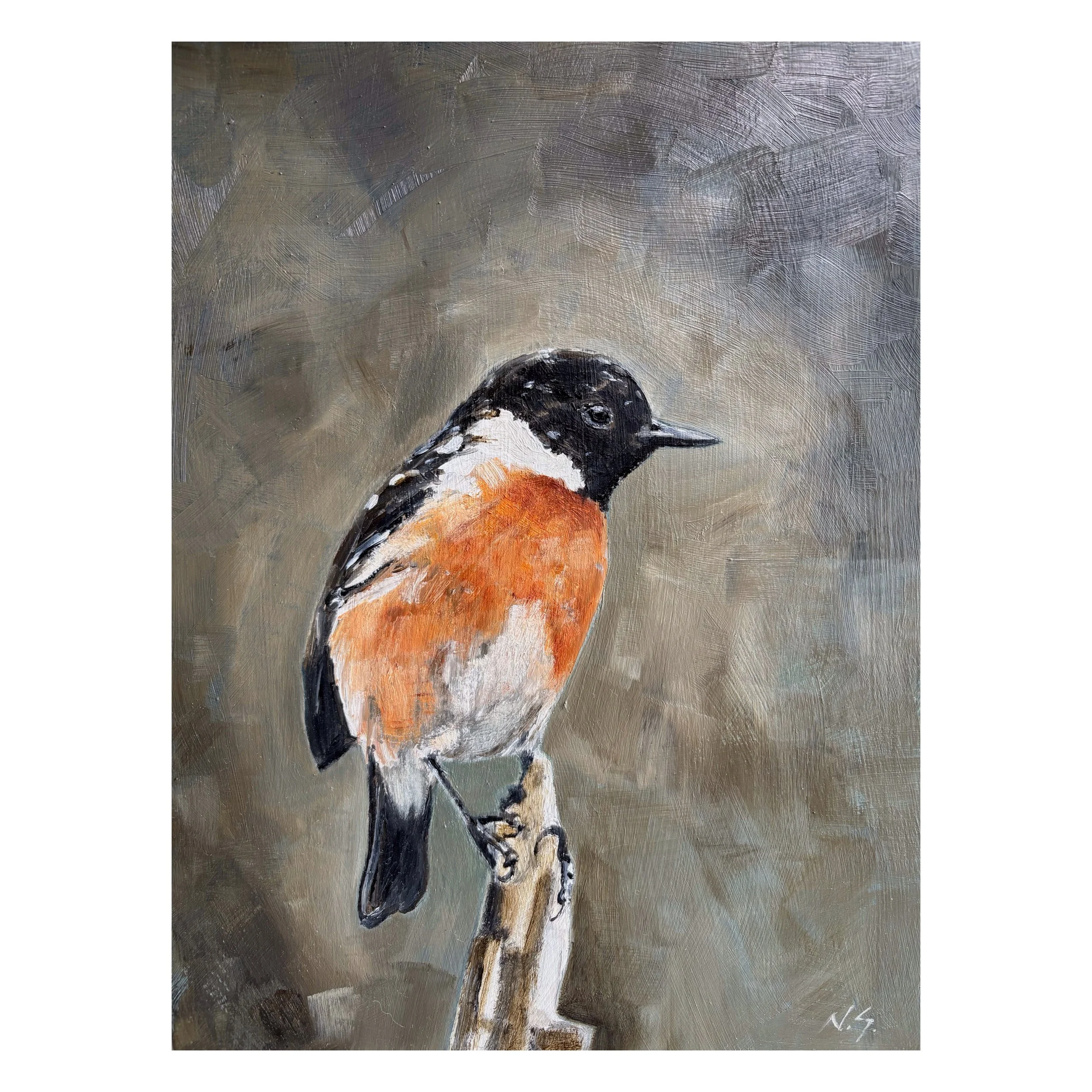 Stonechat 3