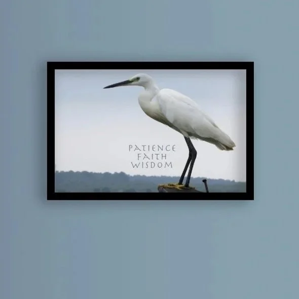 Yoga Mind Mantra-Indian Egret Fishing-"Patience, Faith, Wisdom"-High resolution digital download