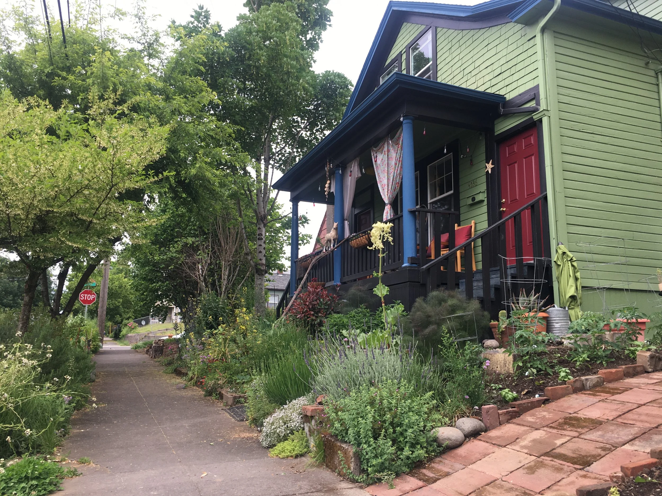 Reflecting on 2021 Seasons, Gestation, Emergence, and Growth