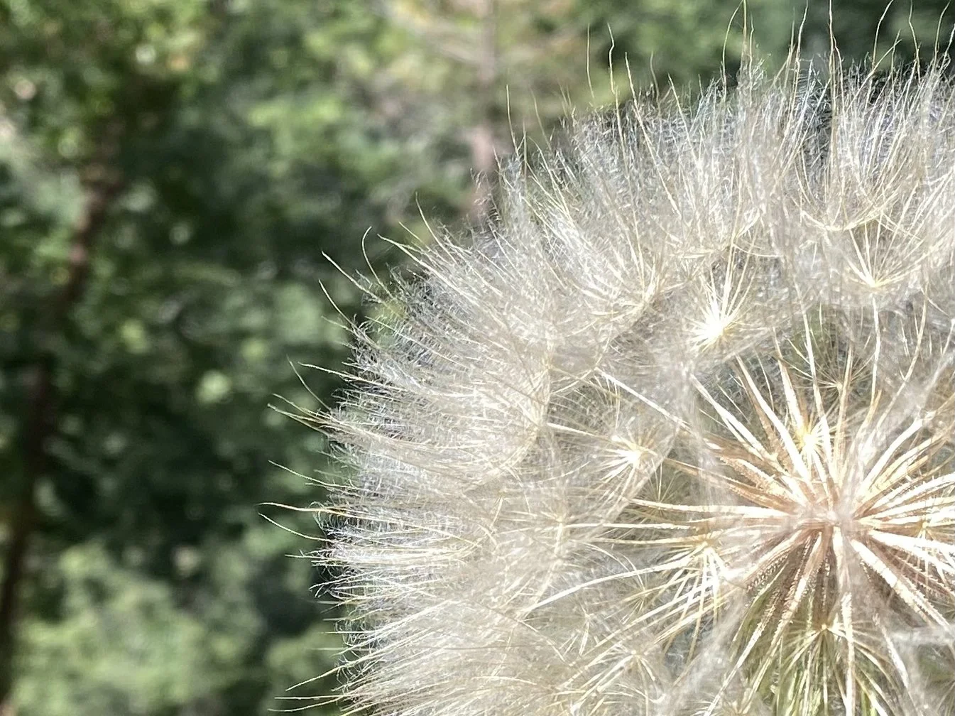 Managing Chronic Pain and Stress with Yoga