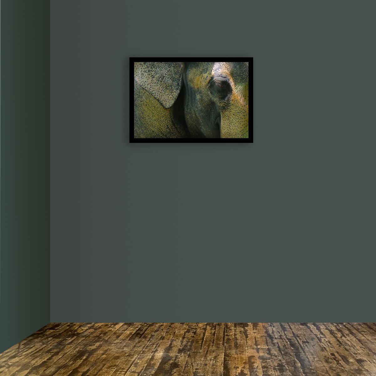 Wise-one-Elelphant_smile-wall-art.webp
