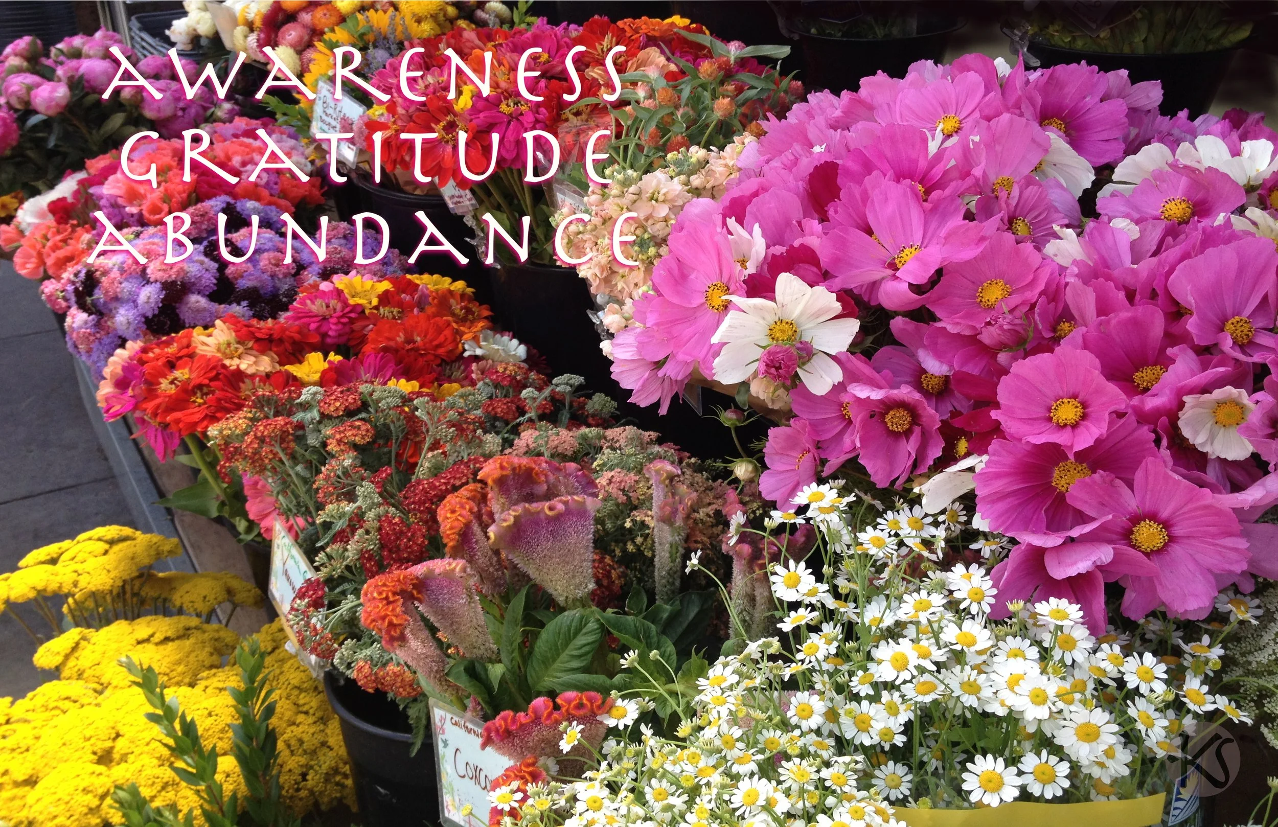 Gratitude-abundance-flower-mkt.jpg