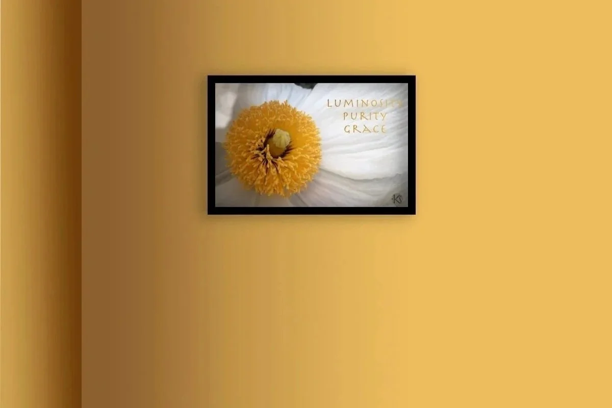 Yoga Mind Mantra-Matilija Poppy-"Luminosity, Purity, Grace"-High resolution digital download