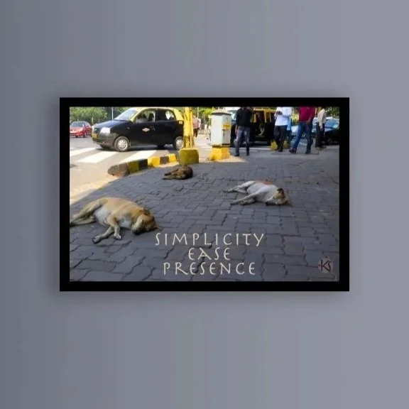 Yoga Mind Mantra-Dogs Life Mumbai-"Simplicity, Ease, Presence"-High resolution digital download