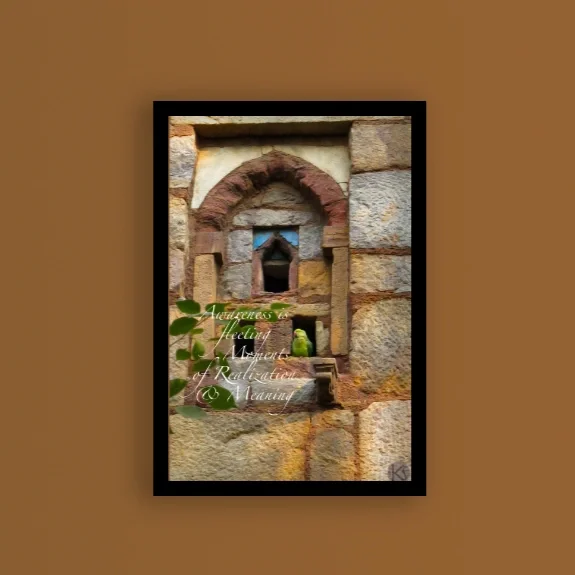 YogaMind Mantra "Awareness is fleeting..." Parrot in Window-Downloadable print