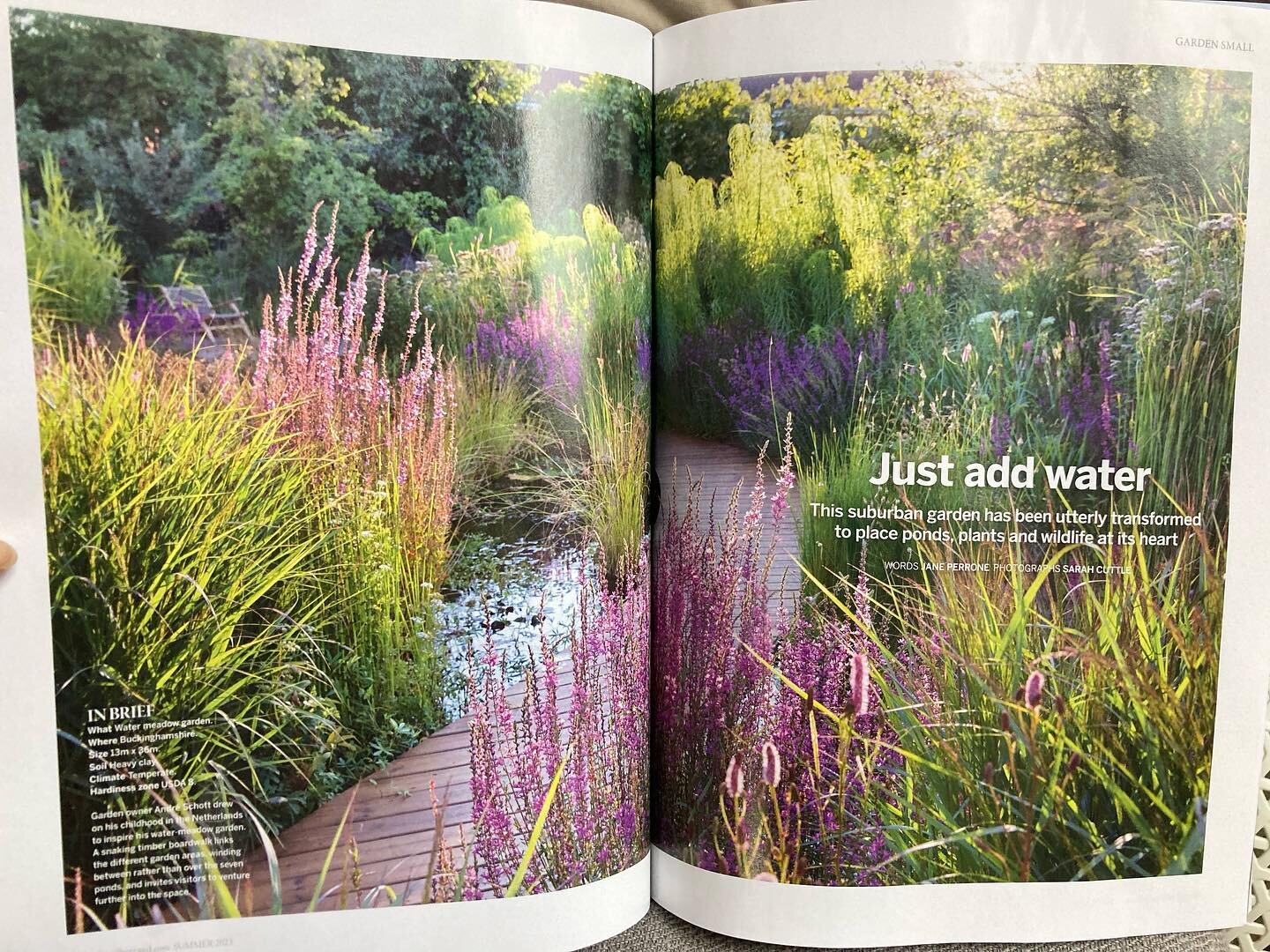 Big moment for us! Our first garden featured in print and it&rsquo;s Gardens Illustrated. A dream come true!

And to be in the Wild edition alongside such talented designers and ground breaking work such as @kneppwilding is a real privilege.

Thank y