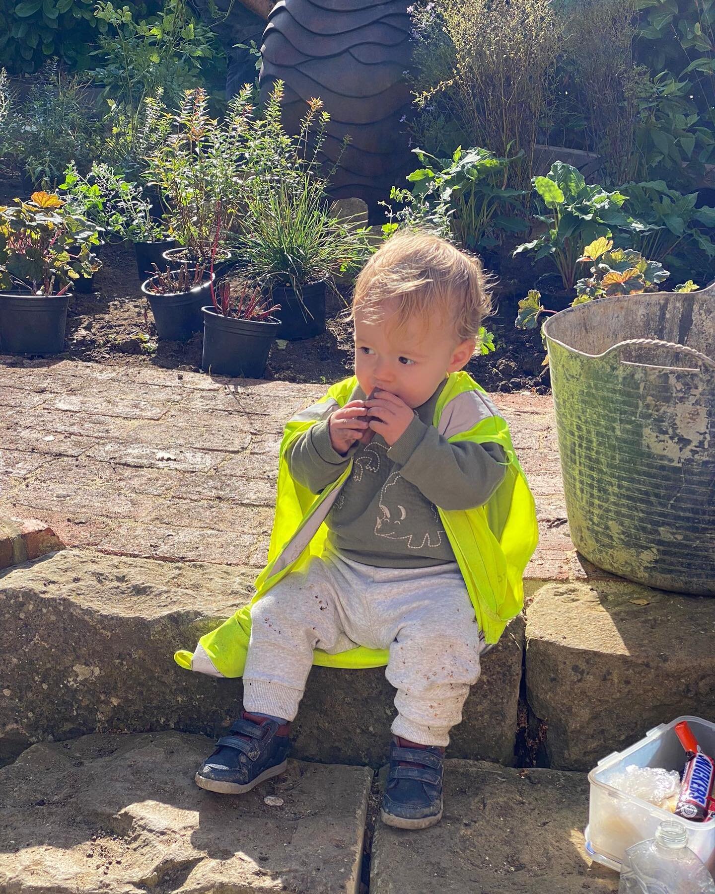 Pictures too adorable not to post. 

The newest Plant joined for a quick visit to a beautiful garden designed and built for and by the owner of @newgardenlandscapes last week. We had prepared a planting only scheme. Pleasure to add the finishing touc