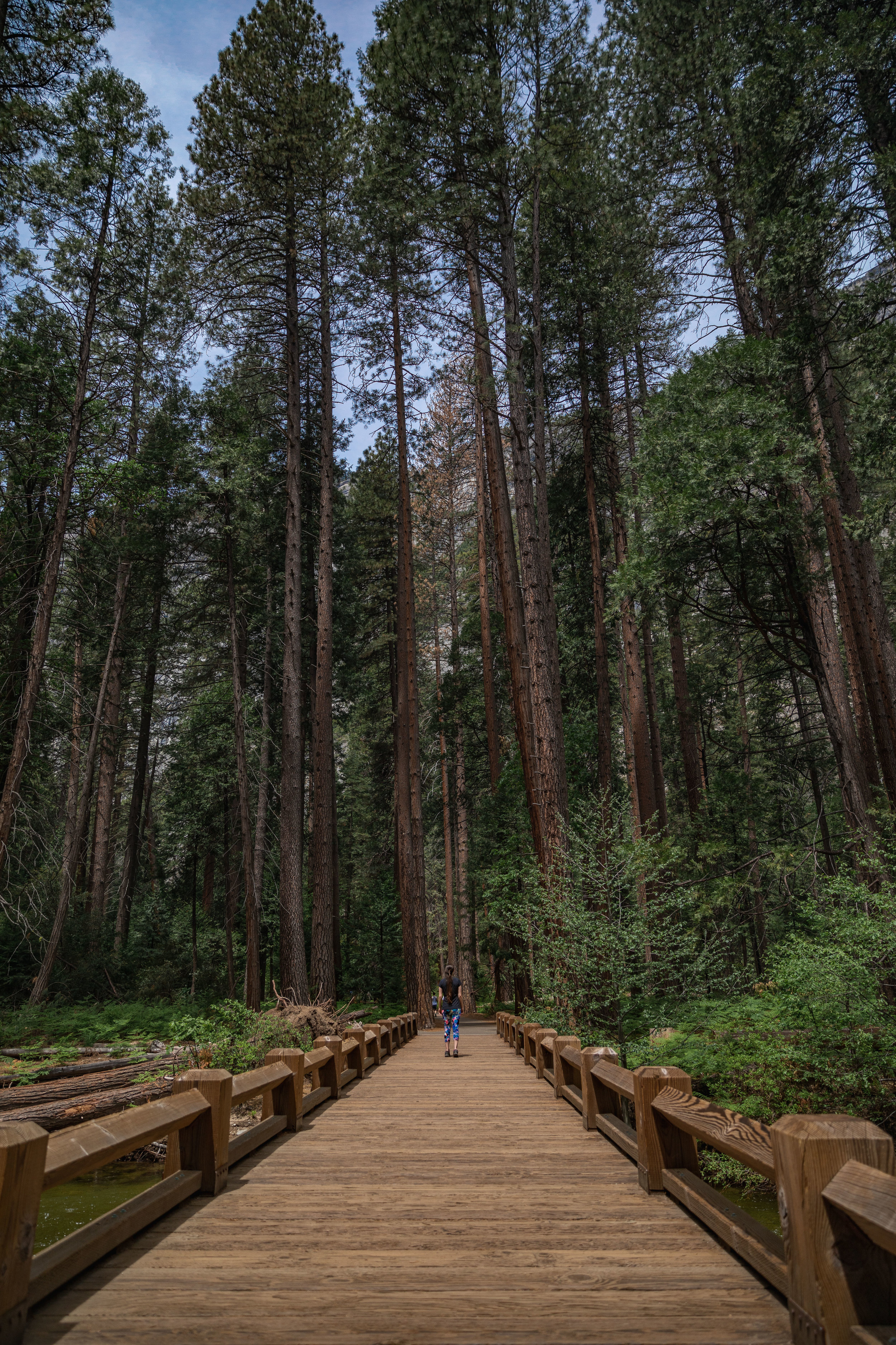 3 stappen om jouw ambitie waar te maken 
