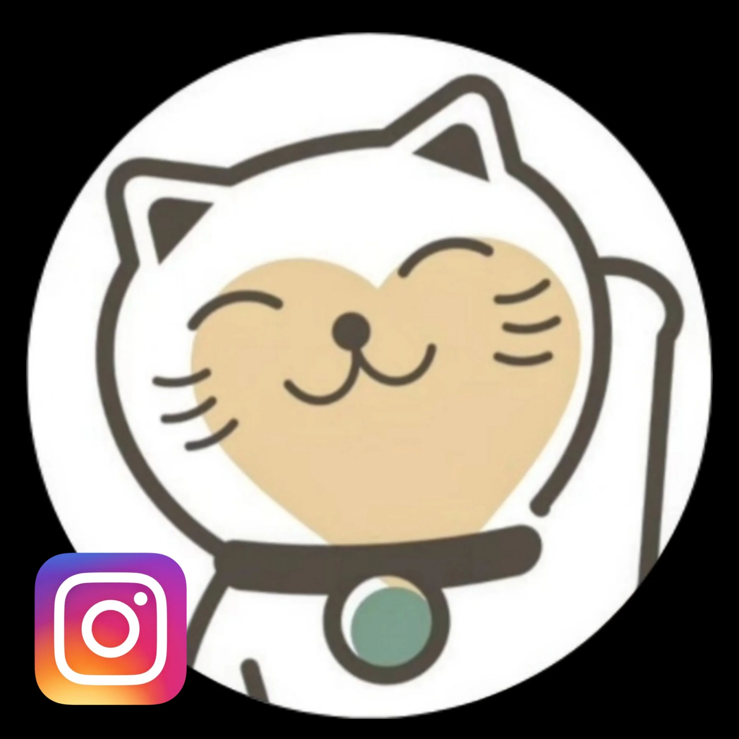 Visit our Instagram!