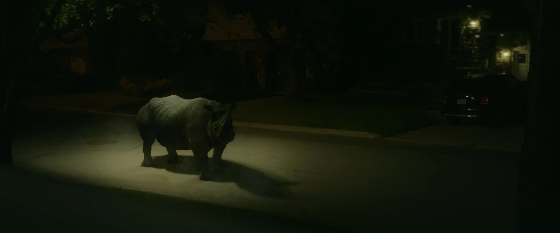 rhino_1.239.7.jpg