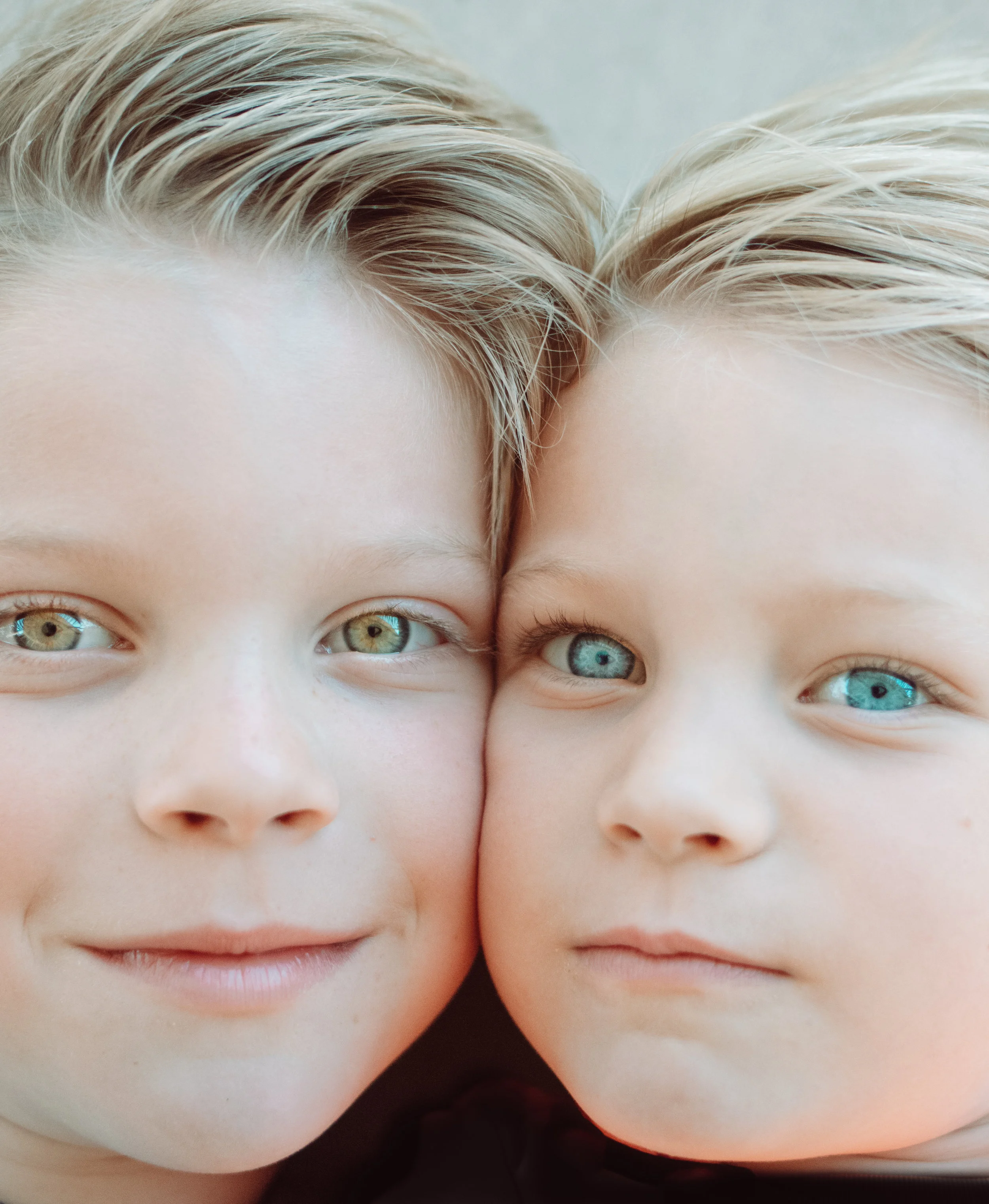 Color E & C.jpg