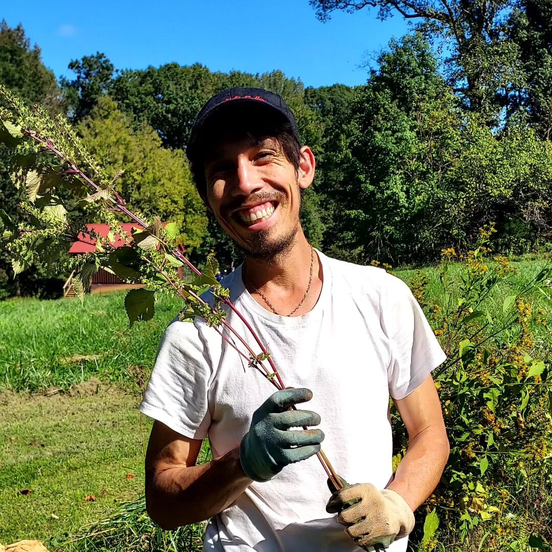 Such a Joy to work alongside Steven @the.last.smith as a Land Maven staying in Sonny for two weeks in September! 

A curator, entrepreneur and animator based in Raleigh, Steven is also a FIERCE gardener and land lover who:

-&gt; Built three Fall Res