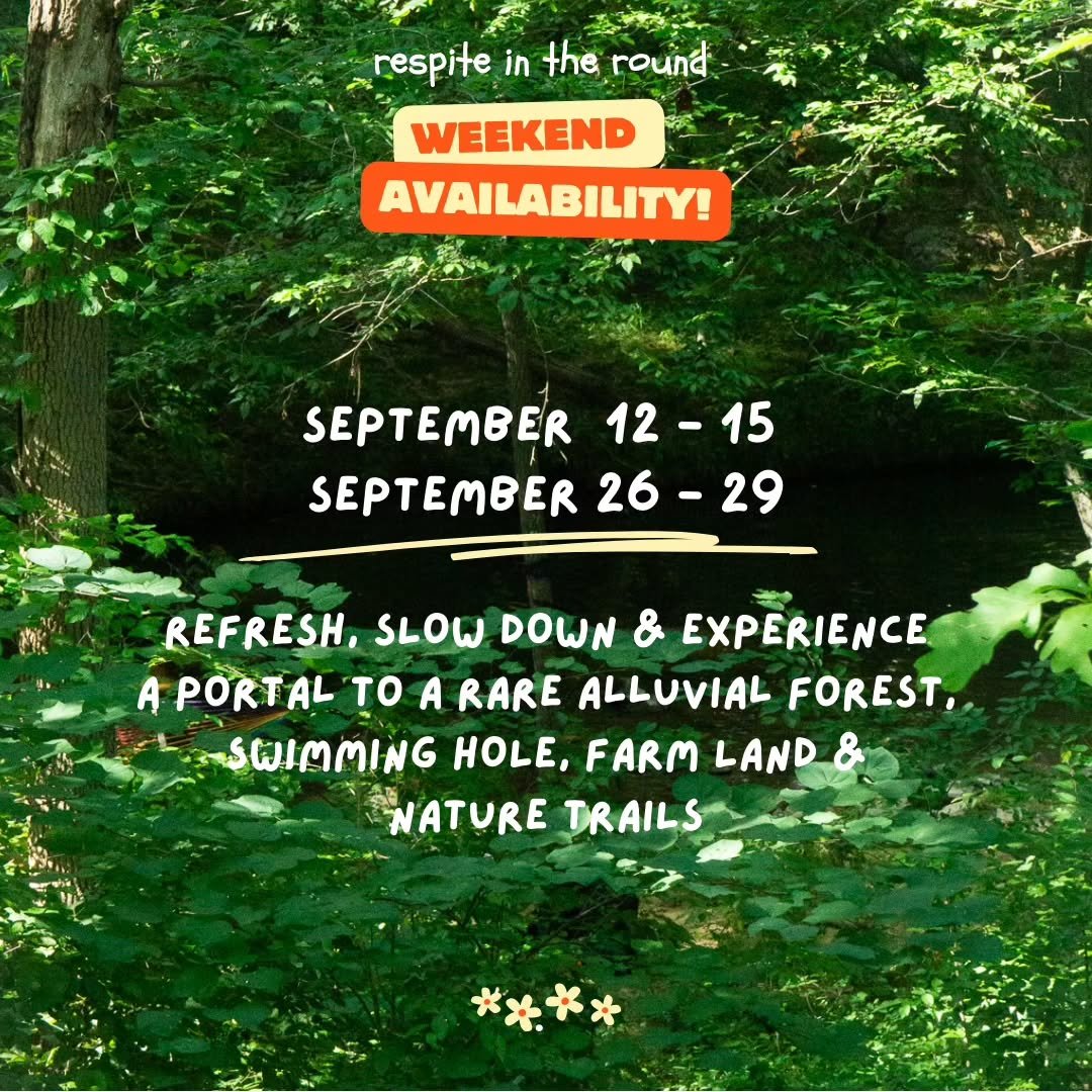 .
Refresh, slow down, and experience a portal to a rare alluvial forest, swimming hole, farm land, nature trail, and more...

&gt;&gt; VHS collection
&gt;&gt; LP Vinyl collection
&gt;&gt; Movement library and zine collection

/ We had a cancellation 