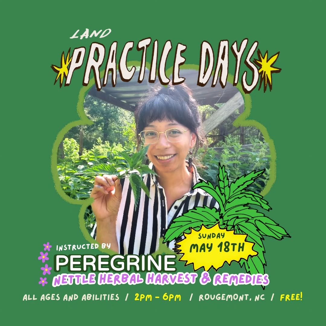 In May, we welcome Peregrine Bermas @dirtandfree.world to harvest nettle &amp; offerr its herbal remedies.

Peregrine is a queer Filipina curious earthling invested in destabilizing colonial cosmology through community herbalism and art.

Now a Durha