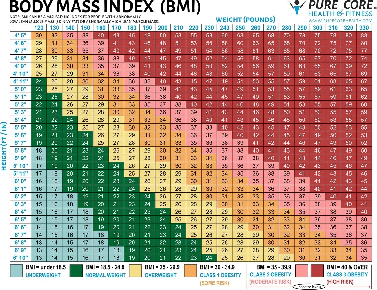 Body Composition Chart Body Composition Chart